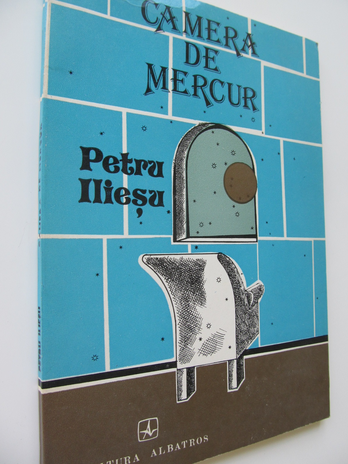 Camera de mercur - Petru Iliesu | Detalii carte