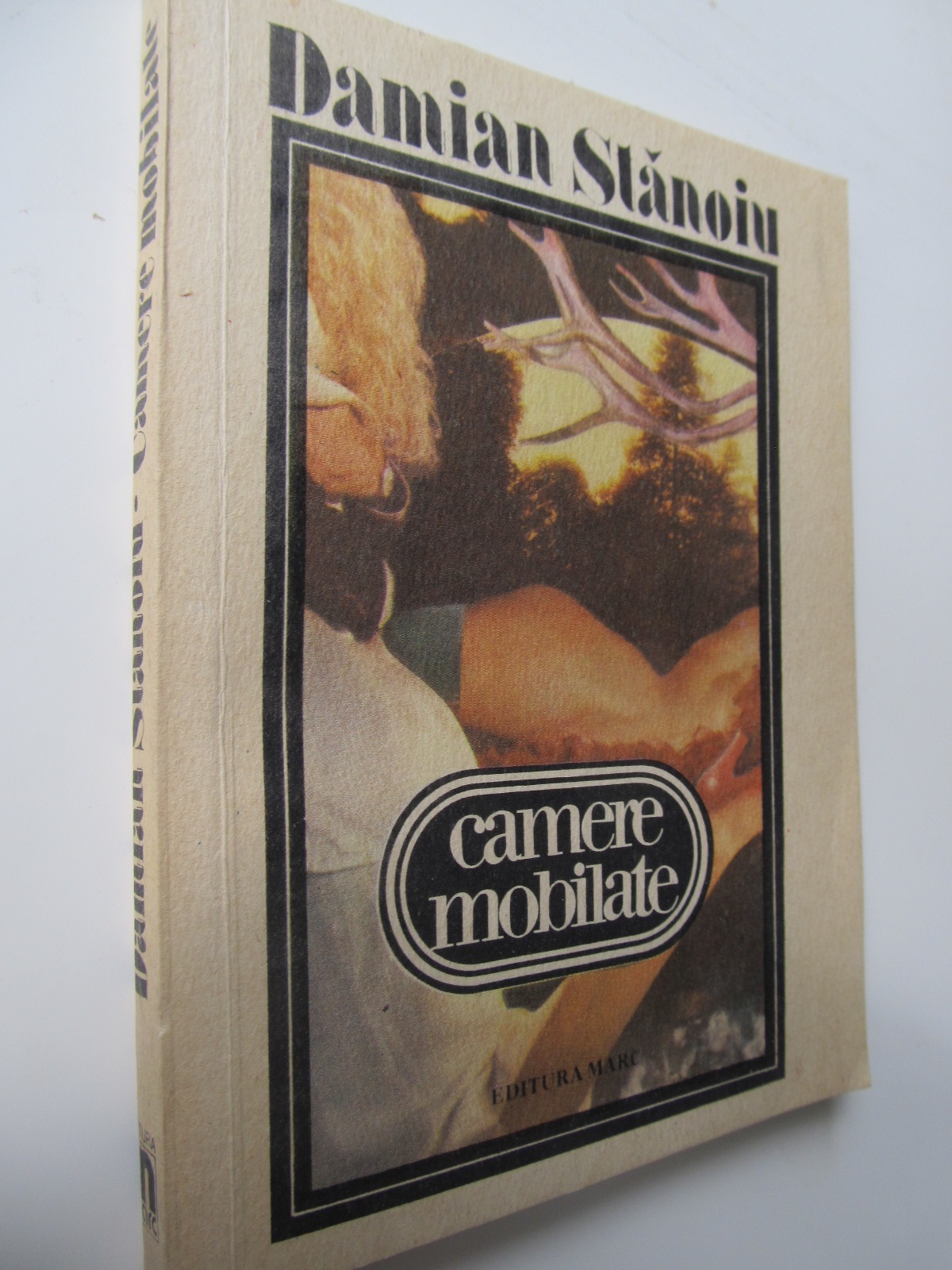 Camere mobilate - Damian Stanoiu | Detalii carte