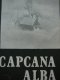Capcana alba - Alex. Rudeanu | Detalii carte