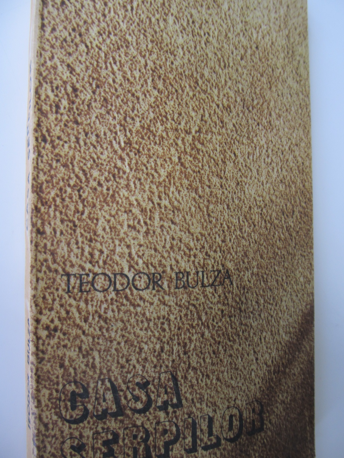 Casa serpilor - Teodor Bulza | Detalii carte