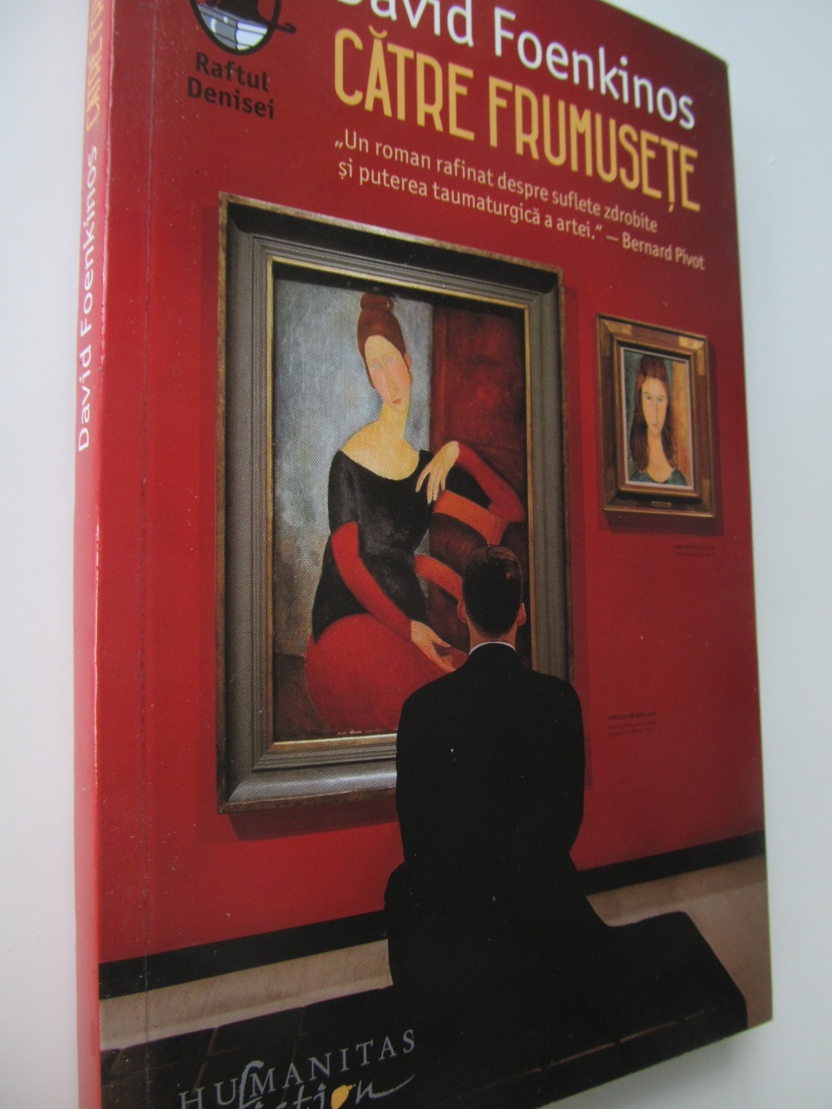 Catre frumusete - David Foenkinos | Detalii carte