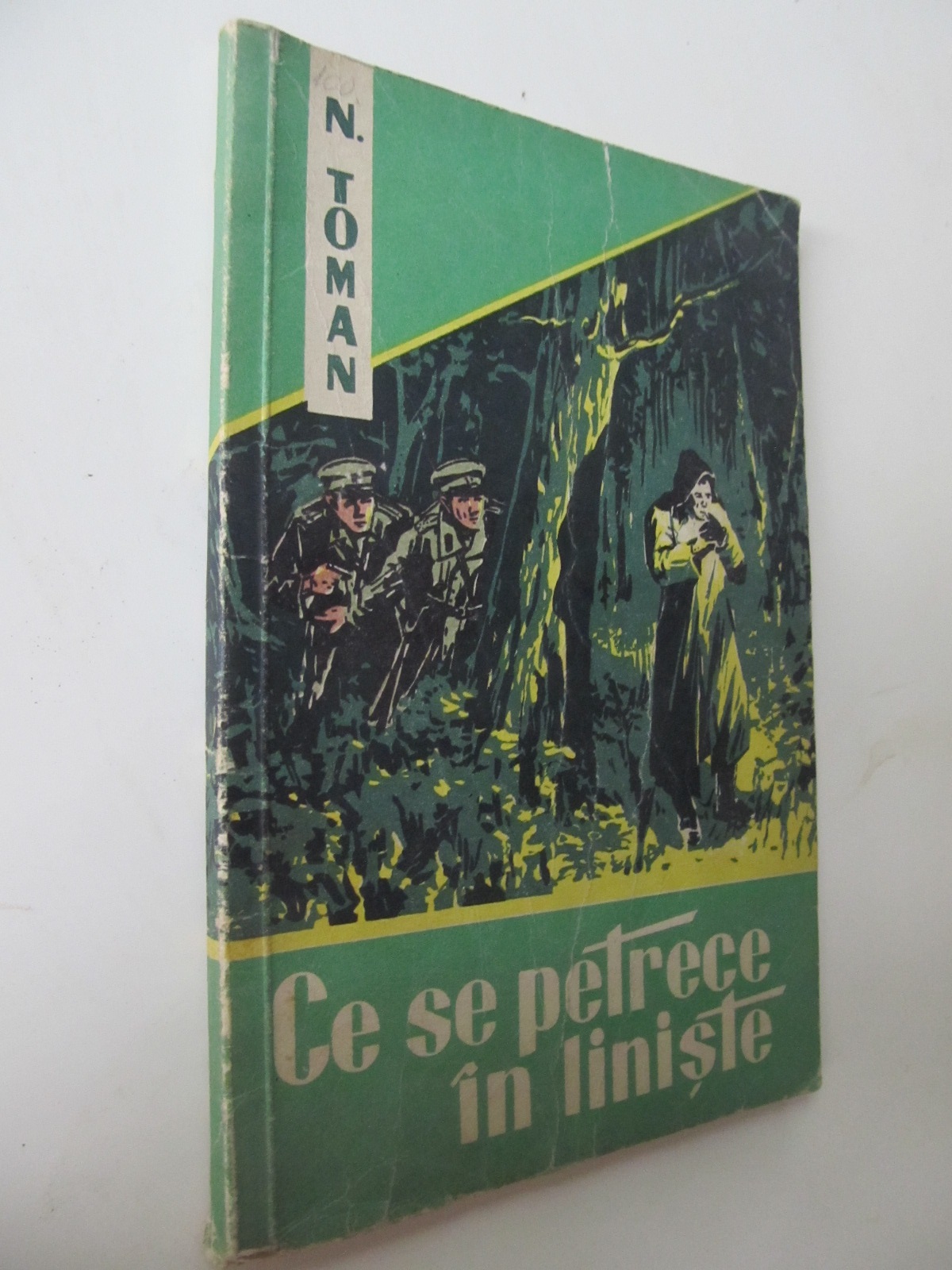 Ce se petrece in liniste - Nikolai Toman | Detalii carte