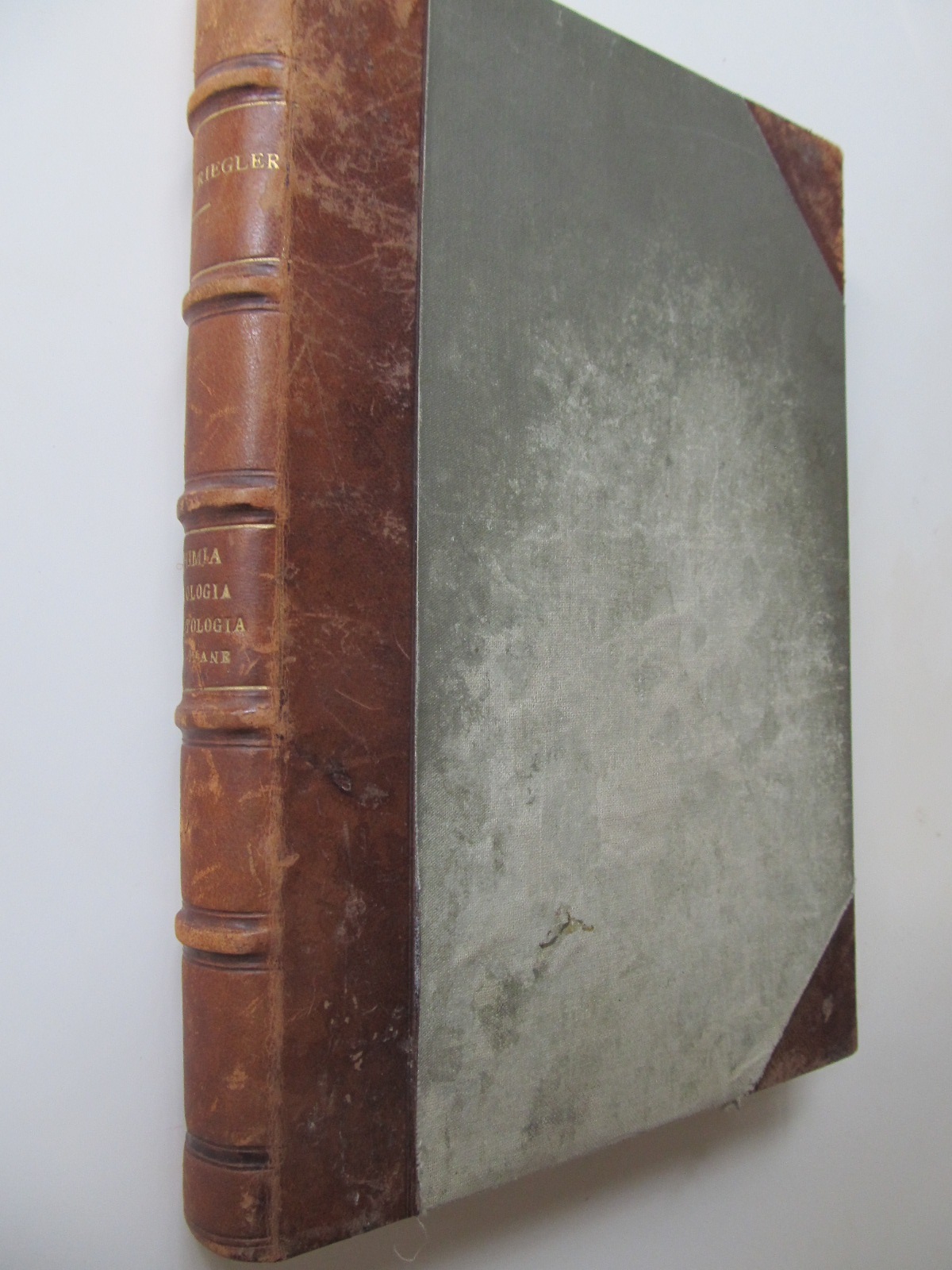 Chimia , fisiologia si patologia urinei umane , 1904 (cotor piele) - E. Risgler | Detalii carte