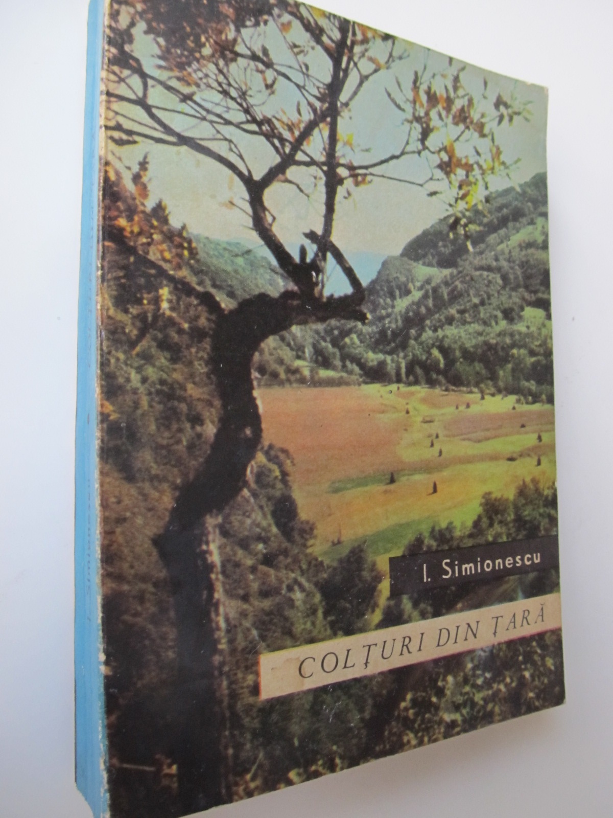 Colturi din tara - I. Simionescu | Detalii carte