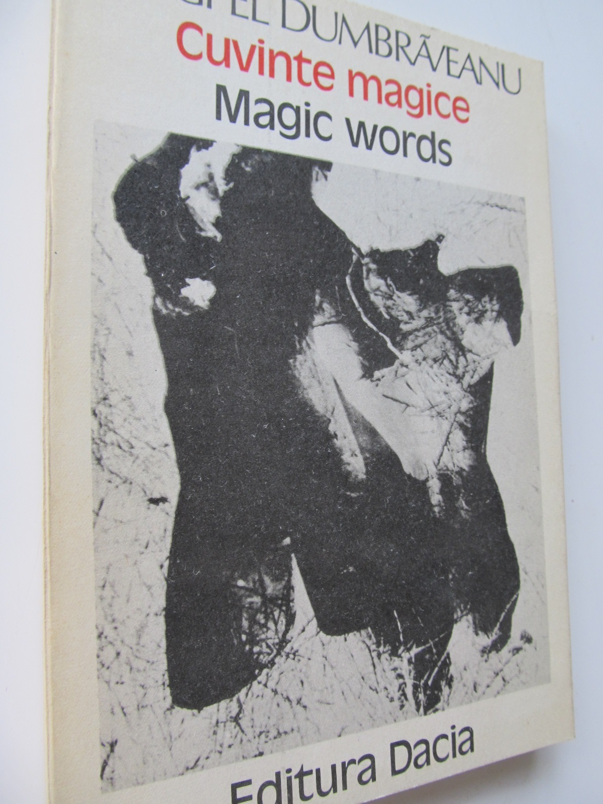 Cuvinte magice - Magic words - Anghel Dumbraveanu | Detalii carte