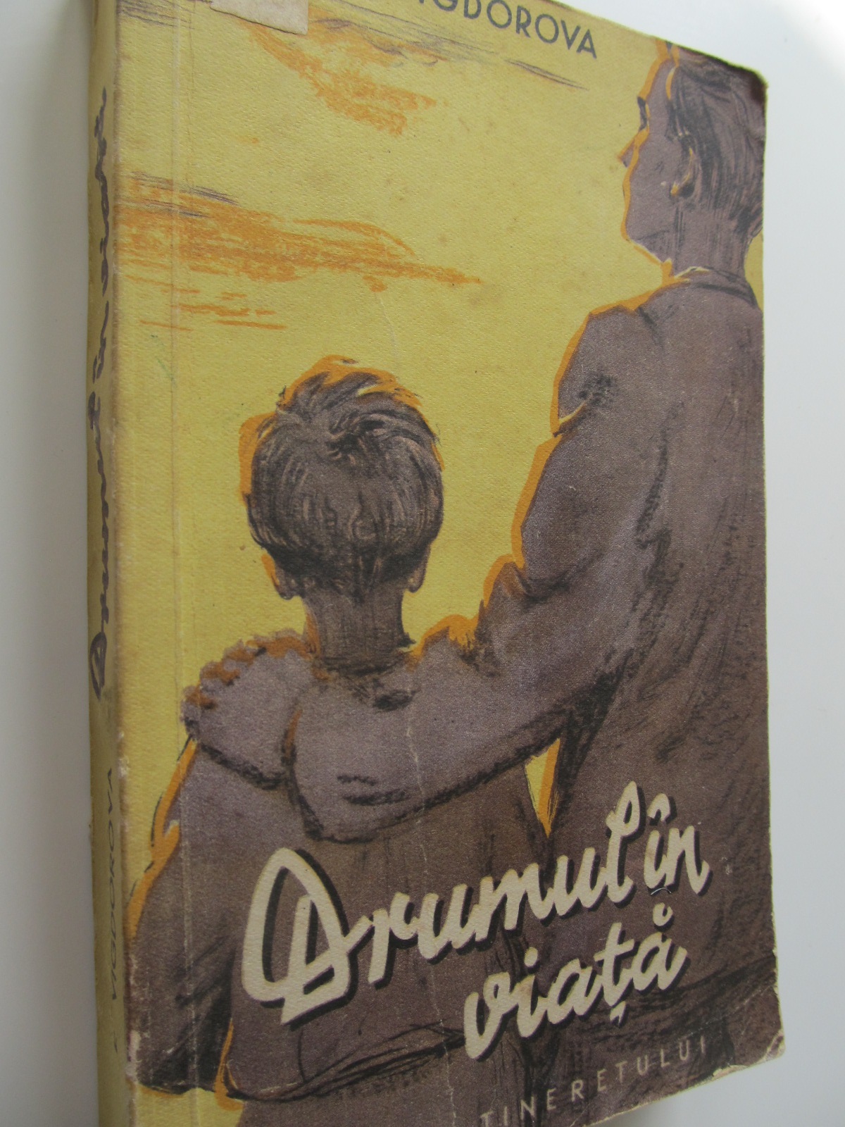 Drumul in viata - F. Vigdorova | Detalii carte