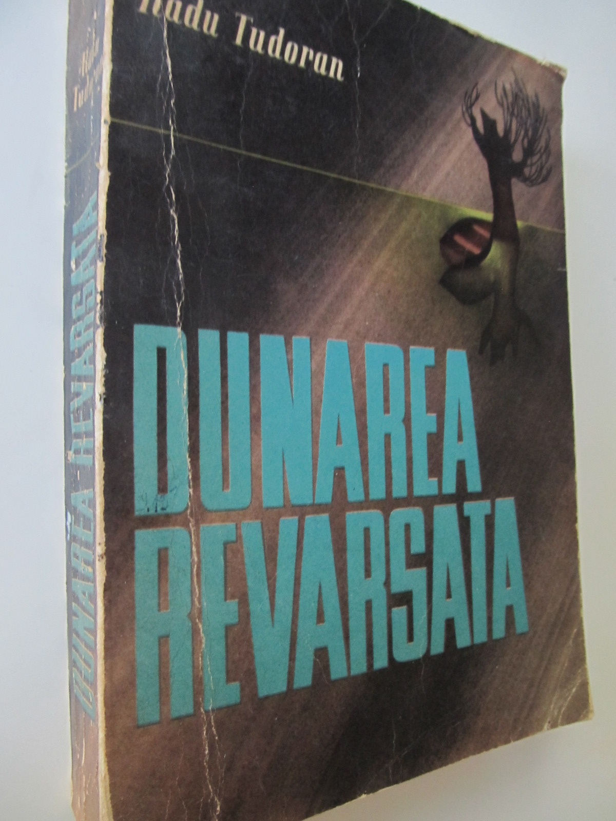 Dunarea revarsata - Radu Tudoran | Detalii carte