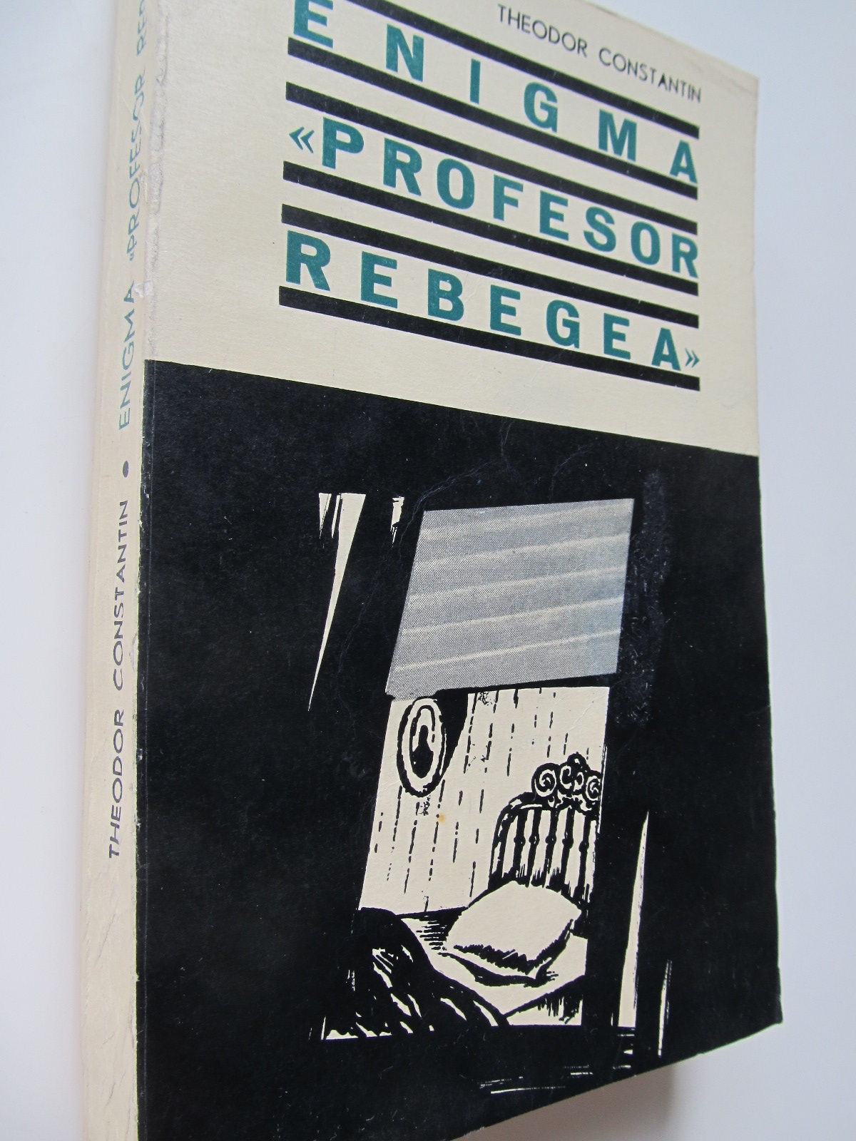 Enigma profesor Rebegea - Theodor Constantin | Detalii carte