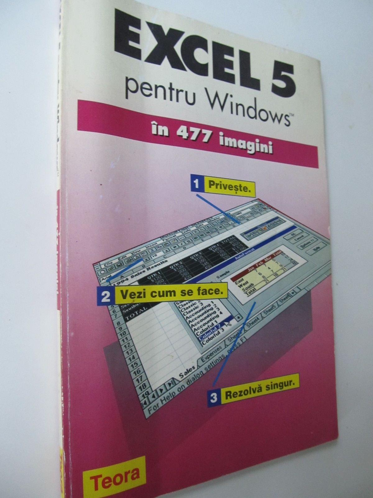 Excel 5 pentru Widows in 477 imagini - Trudi Reisner | Detalii carte