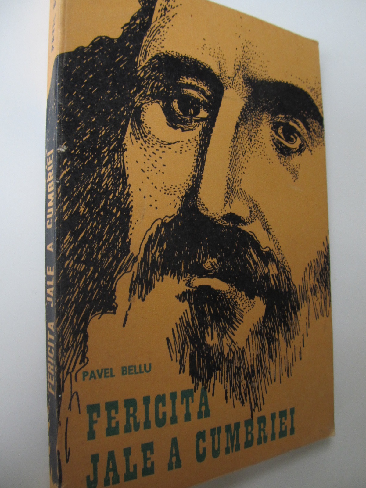Fericita jale a Cumbrei - Pavel Bellu | Detalii carte