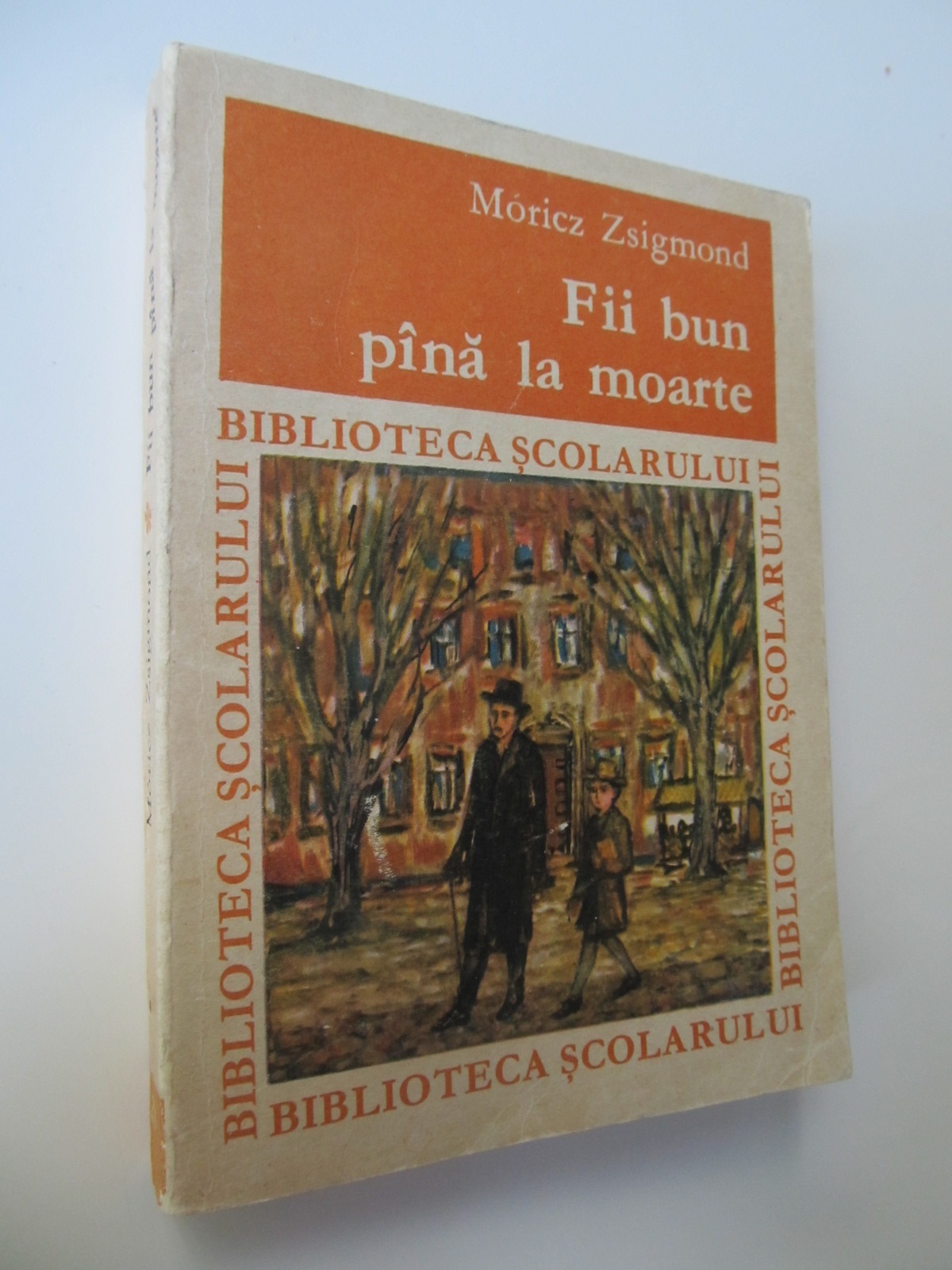 Fii bun pana la moarte - Moricz Zsigmond | Detalii carte