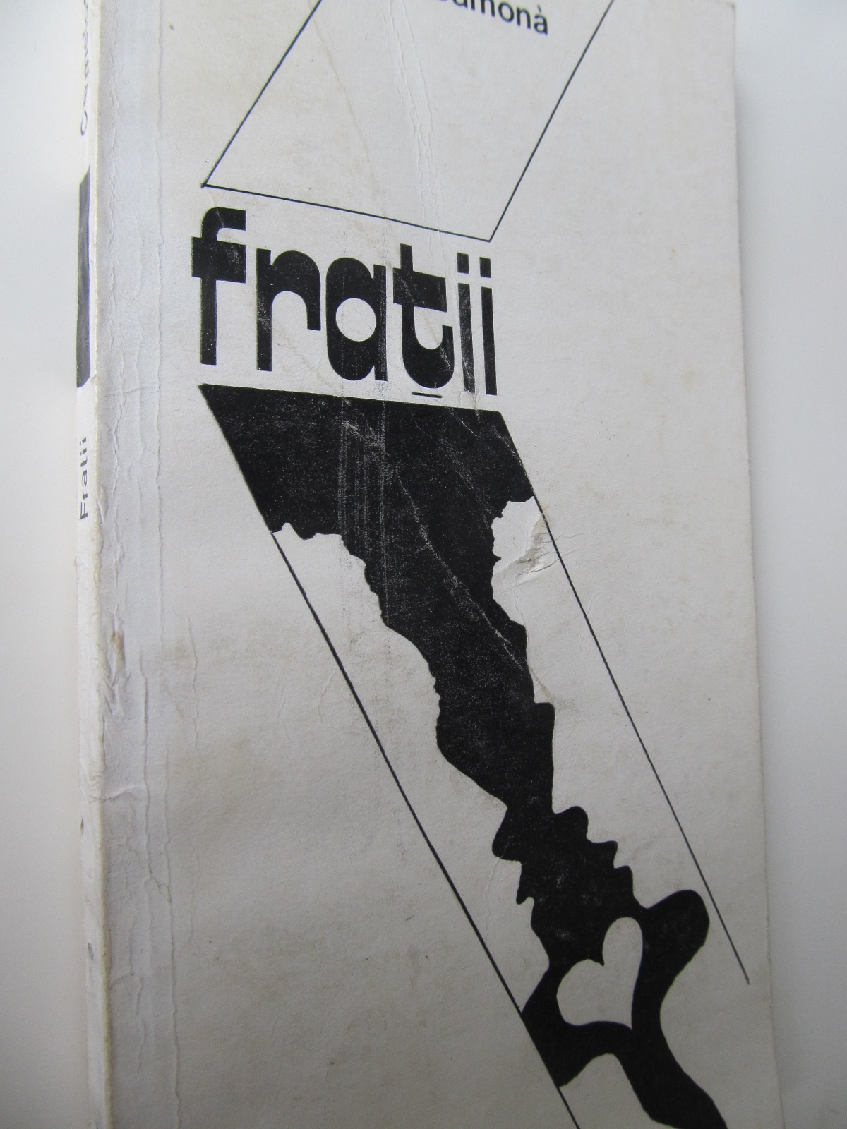 Fratii - Carmelo Samona | Detalii carte