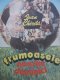 Frumoasele noastre duminici - Ioan Chirila | Detalii carte
