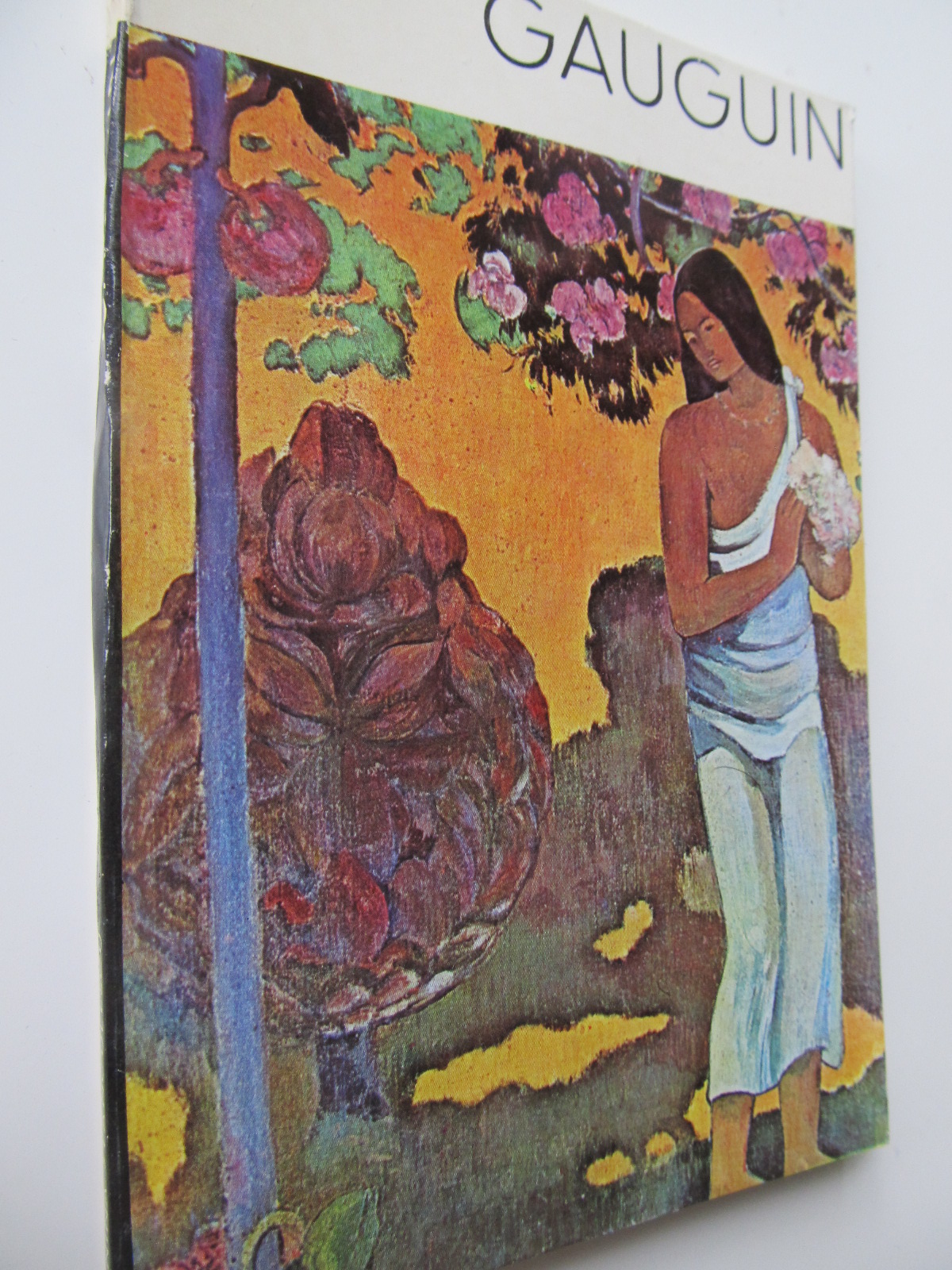 Gauguin - Nina Stanculescu | Detalii carte