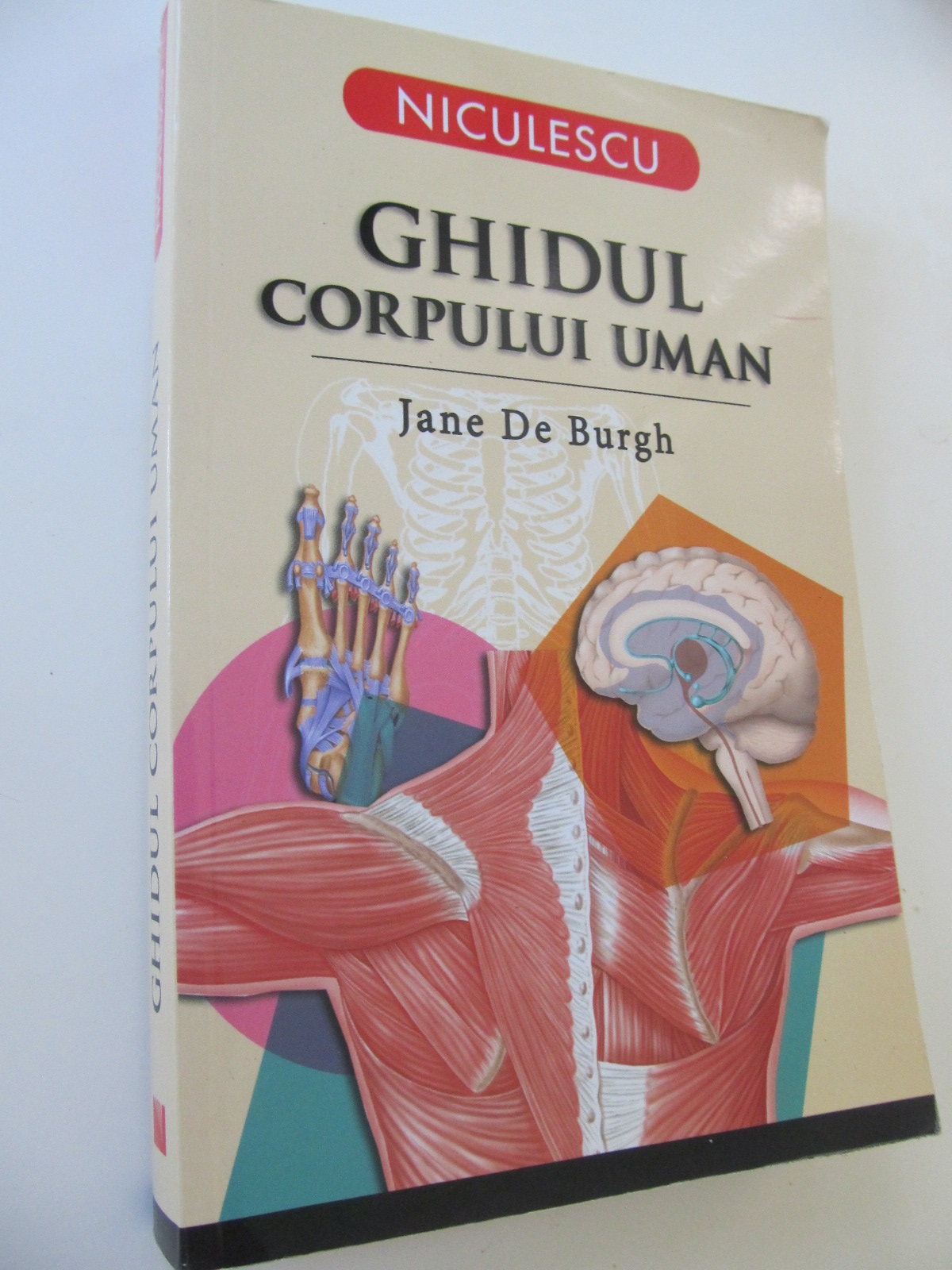 Ghidul corpului uman - Jane De Burgh | Detalii carte