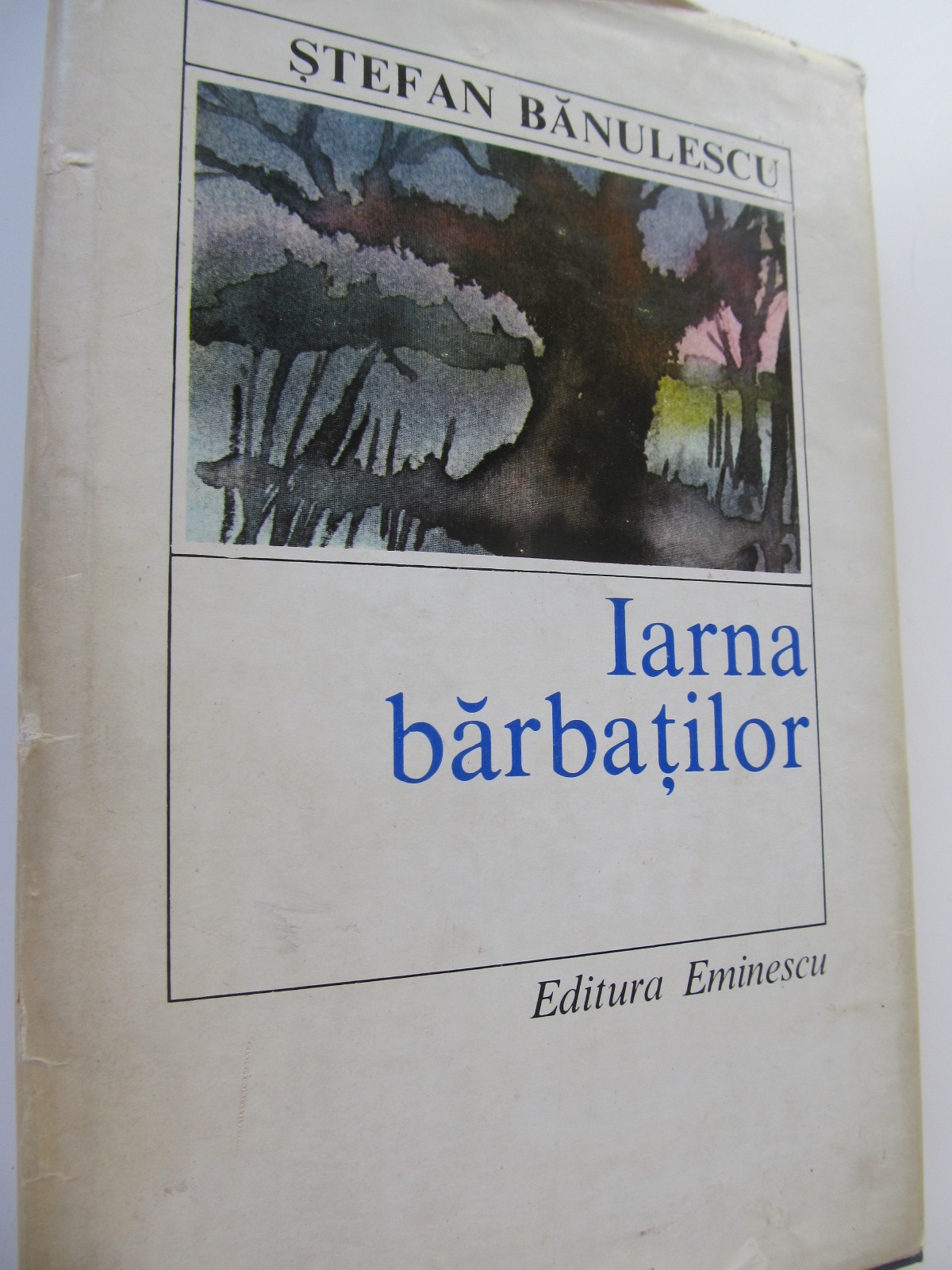 Iarna barbatilor - Stefan Banulescu | Detalii carte