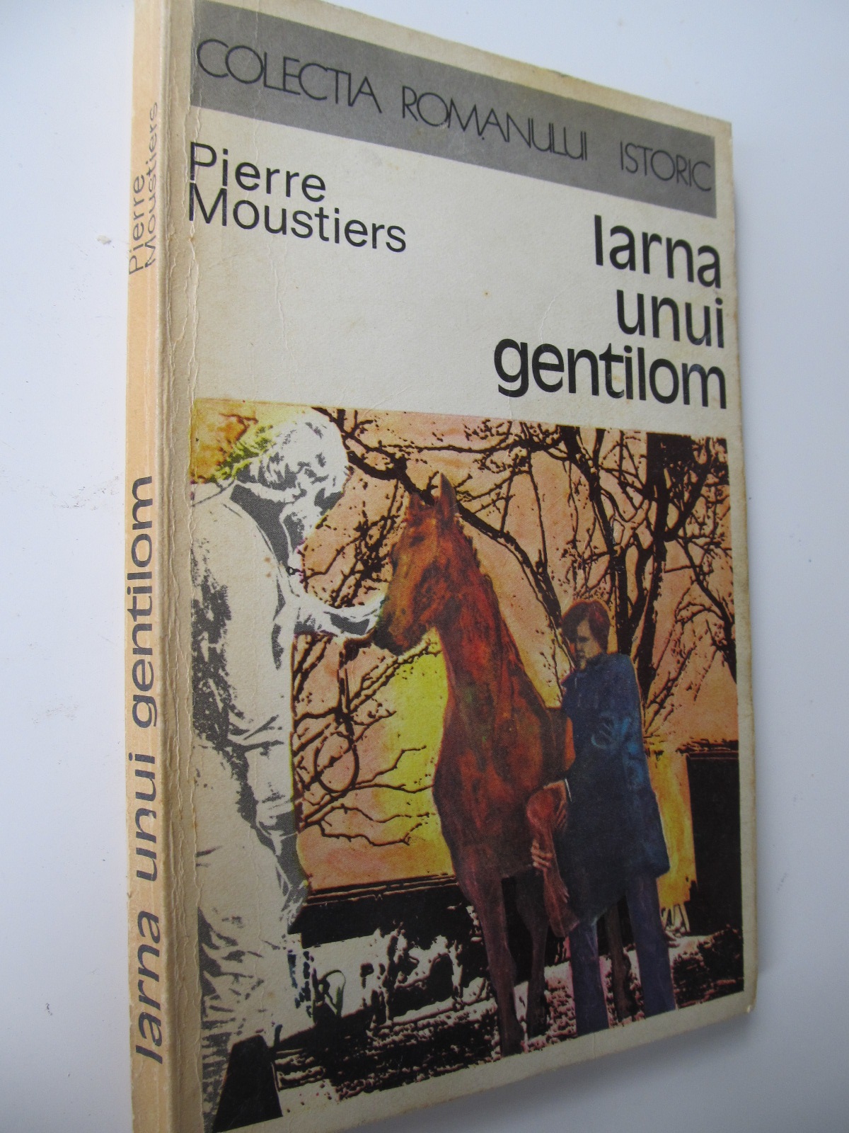Iarna unui gentilom - Pierre Moustiers | Detalii carte