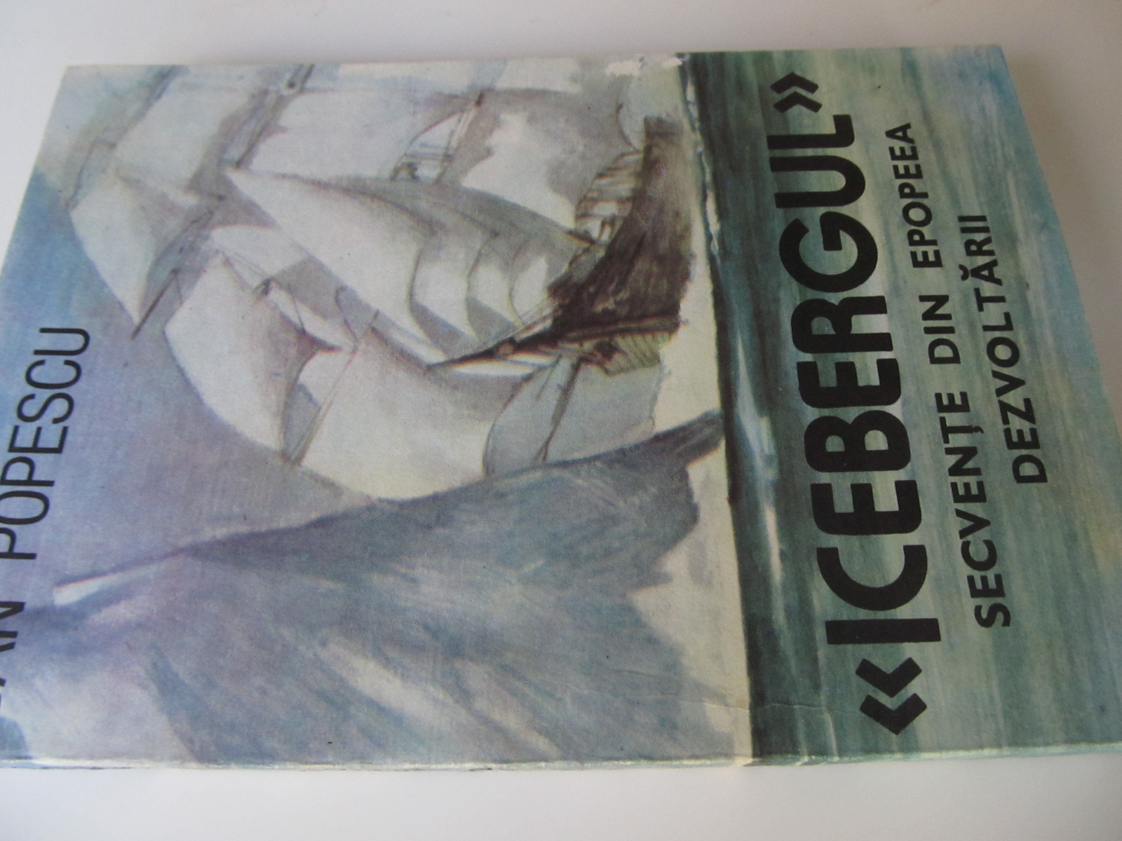 Icebergul - secvente din epopeea dezvoltarii - Dan Popescu | Detalii carte