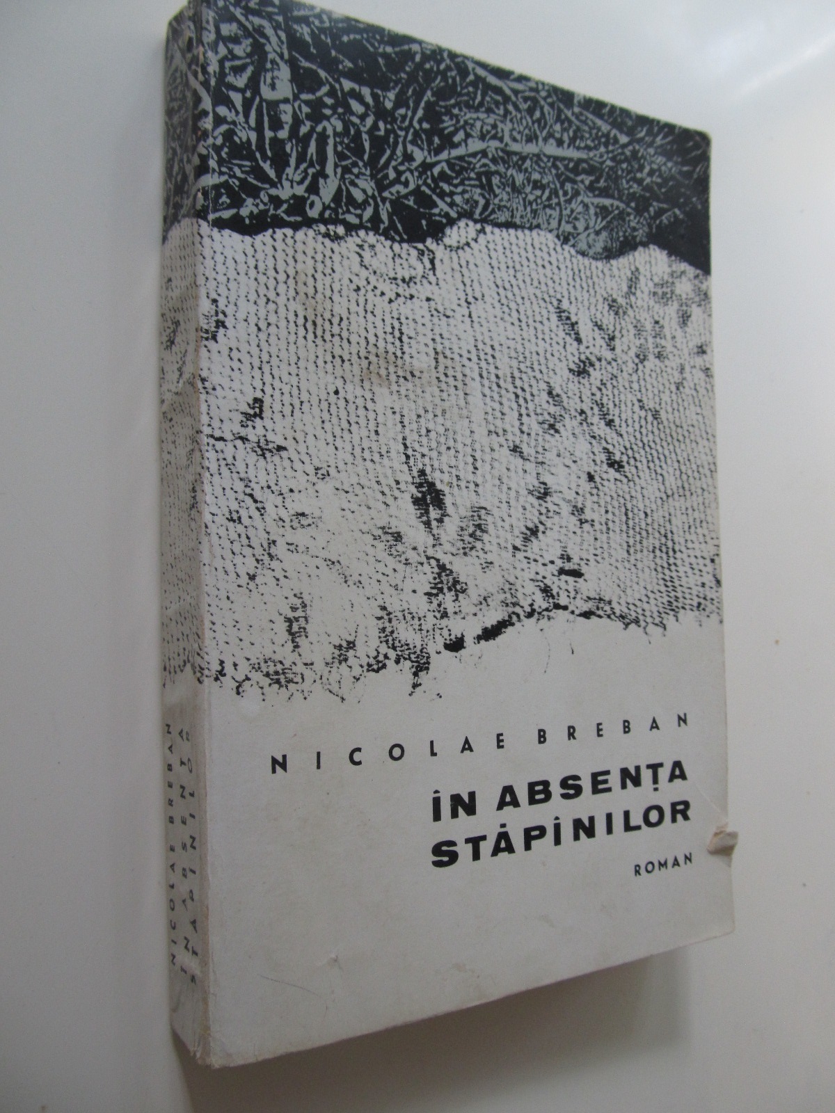 In absenta stapanilor - Nicolae Breban | Detalii carte