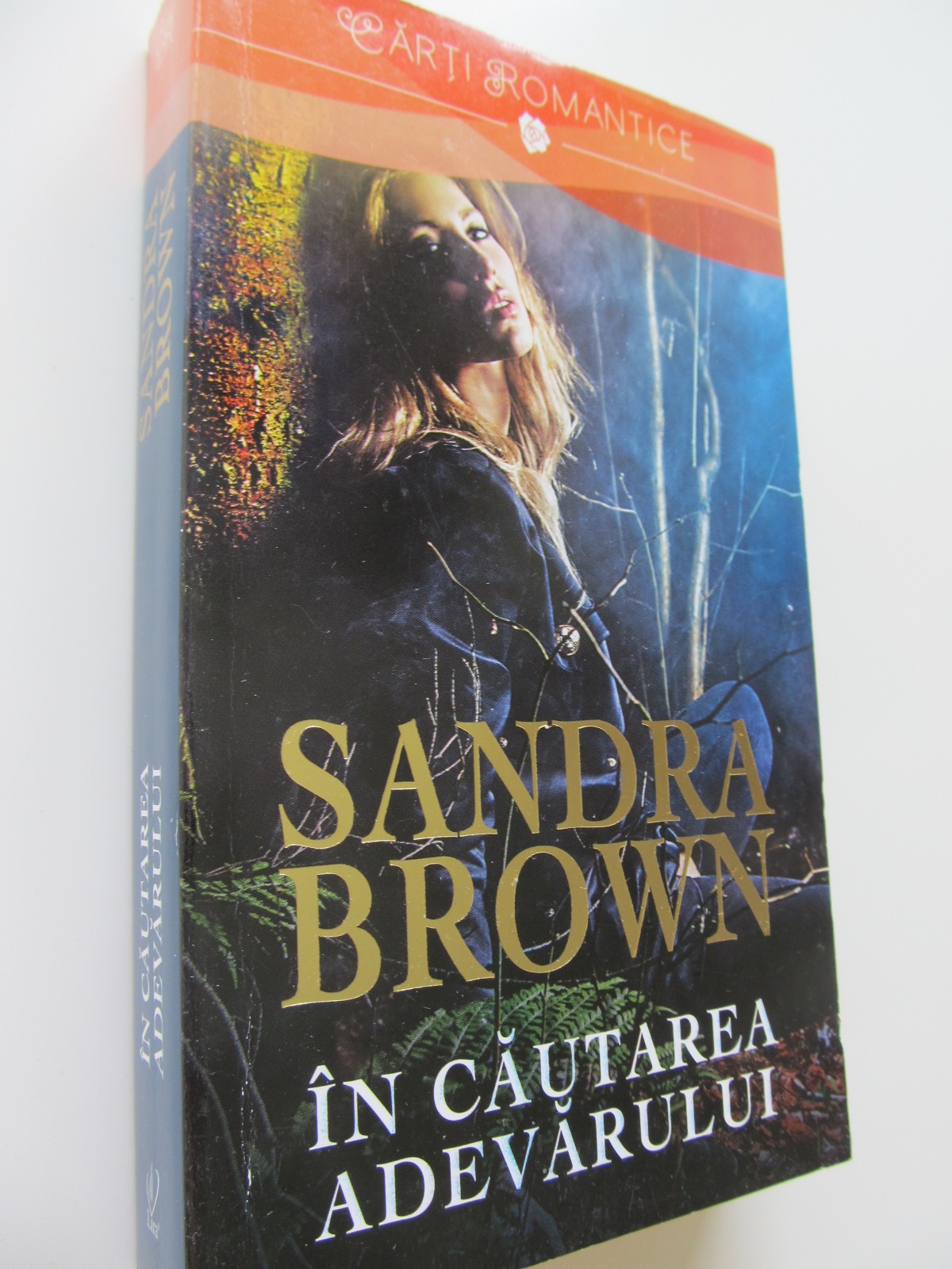 In cautarea adevarului - Sandra Brown | Detalii carte