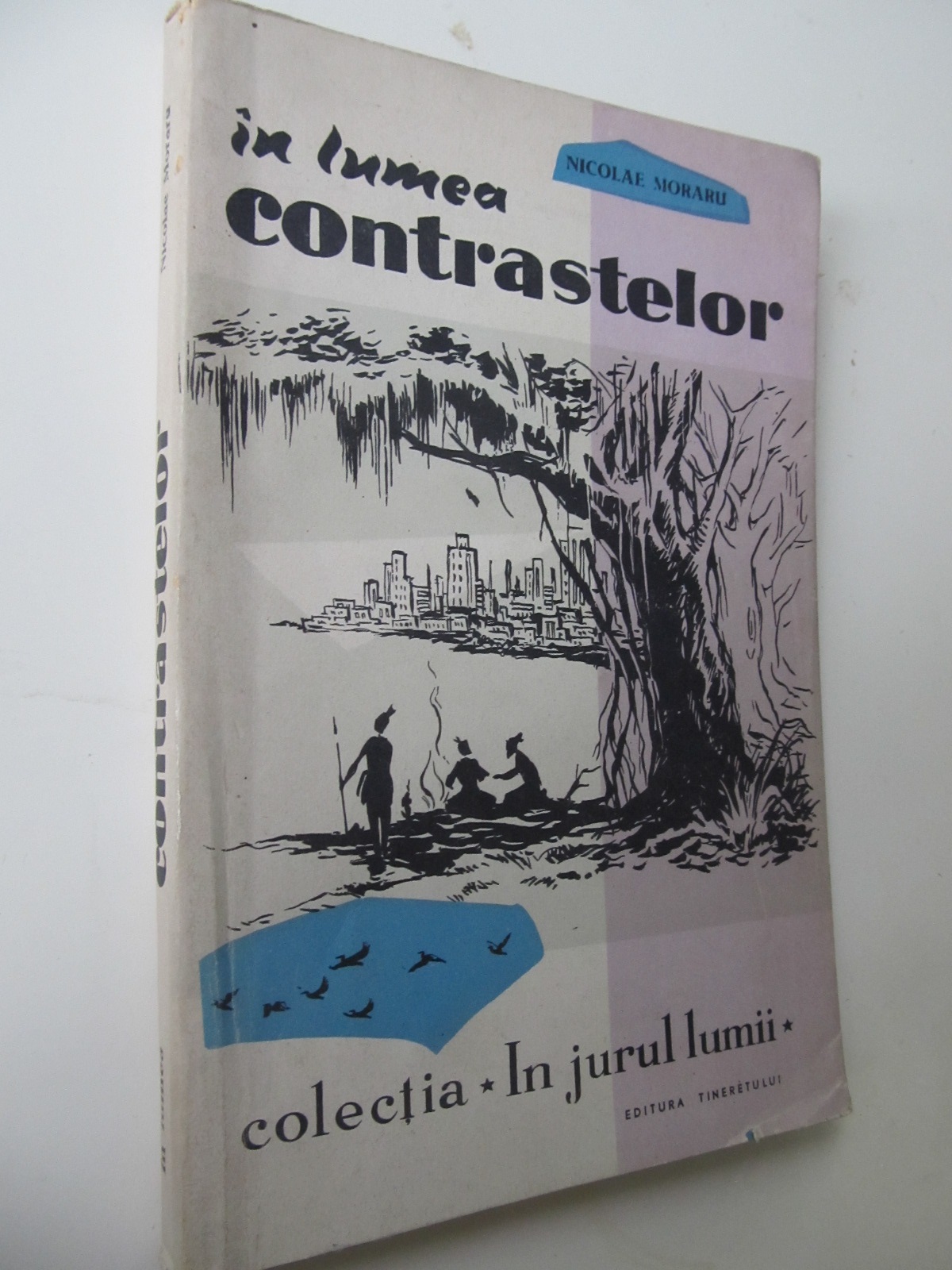 In lumea contrastelor - Nicolae Moraru | Detalii carte