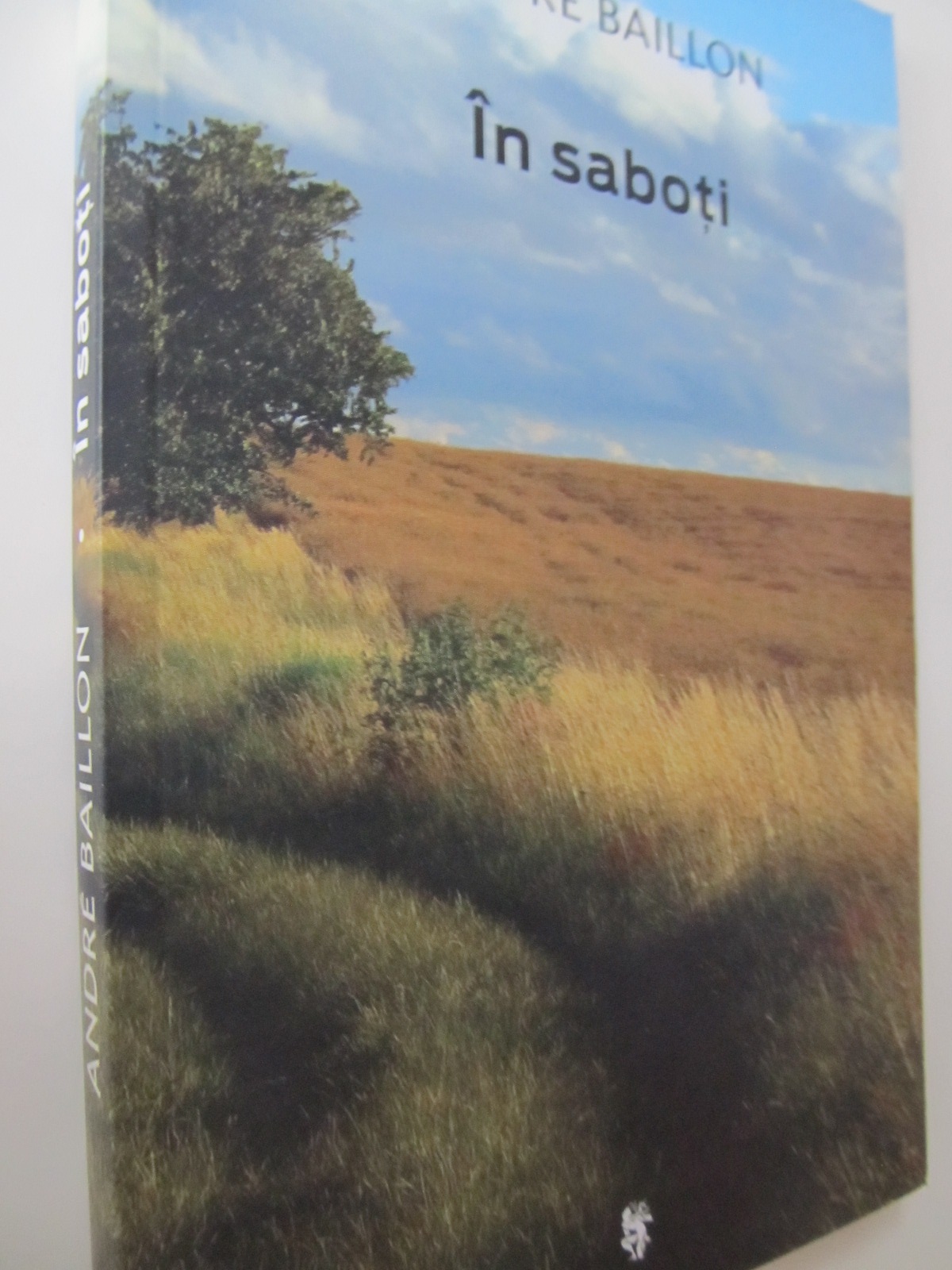 In saboti - Andre Baillon | Detalii carte