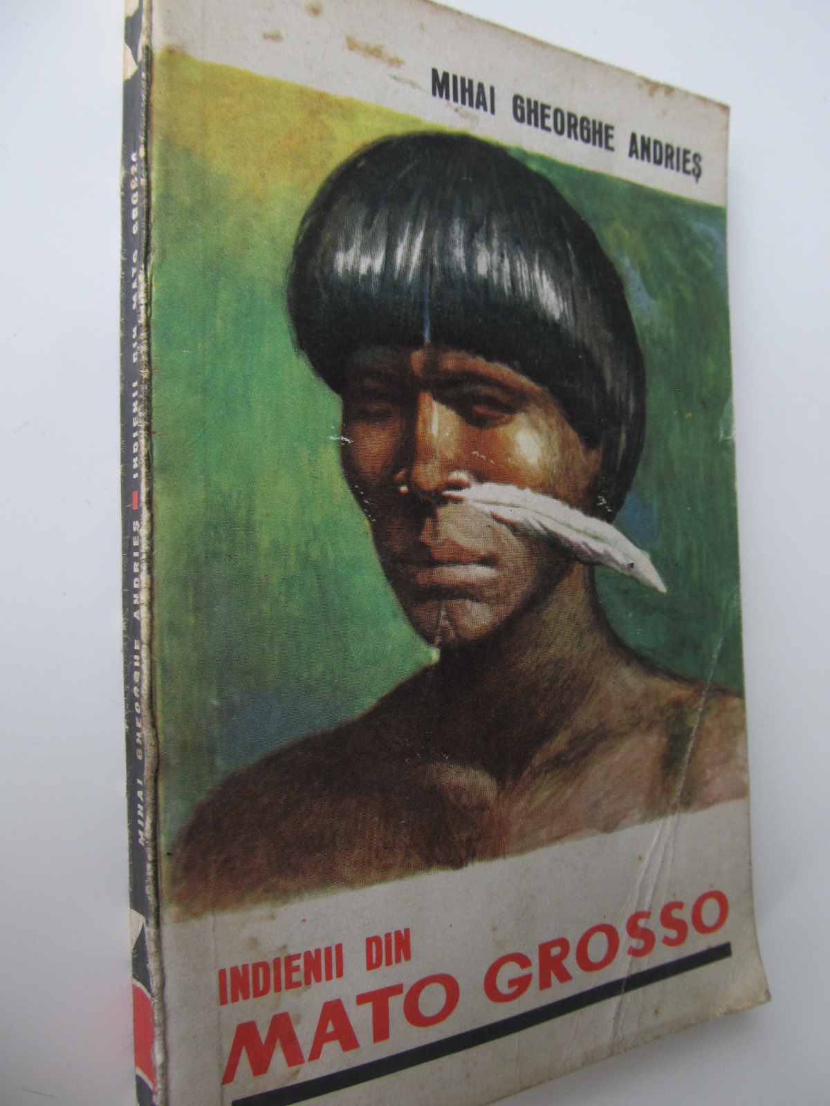 Indienii din Mato Grosso - Mihai Gheorghe Andries | Detalii carte
