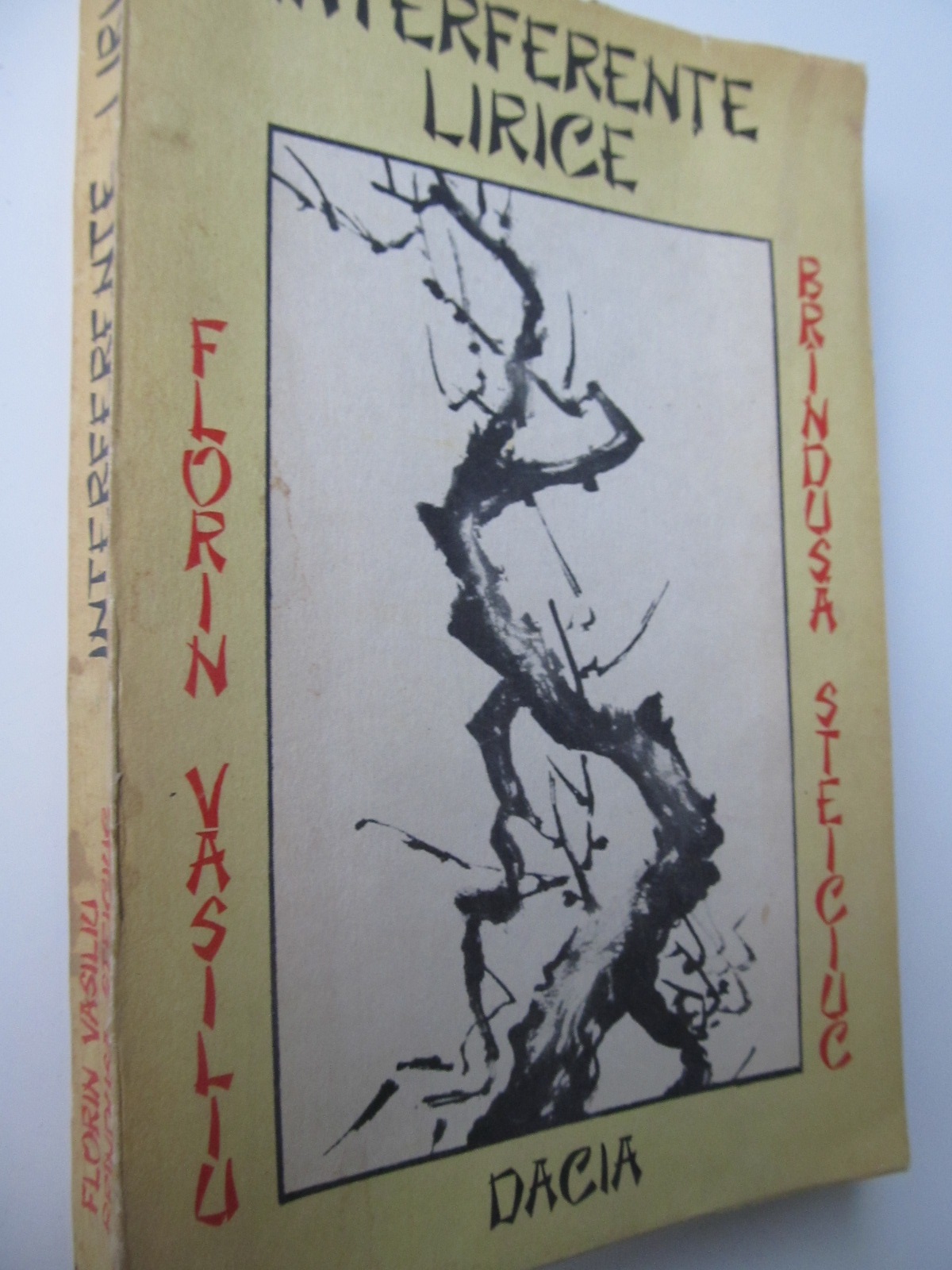 Interferente lirice - Constelatia Haiku - Florin Vasiliu , Brandusa Steiciuc | Detalii carte