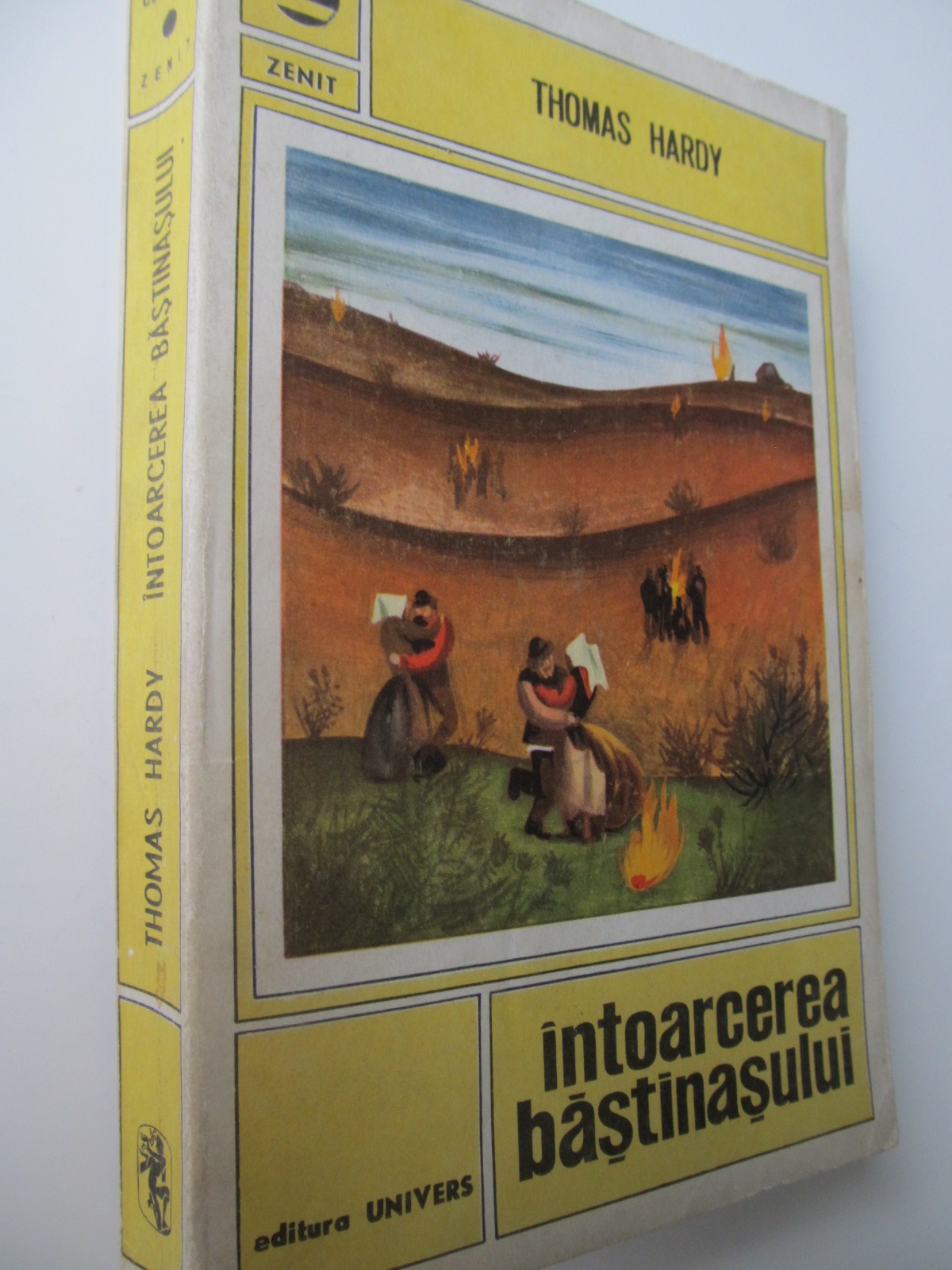 Intoarcerea bastinasului - Thomas Hardy | Detalii carte
