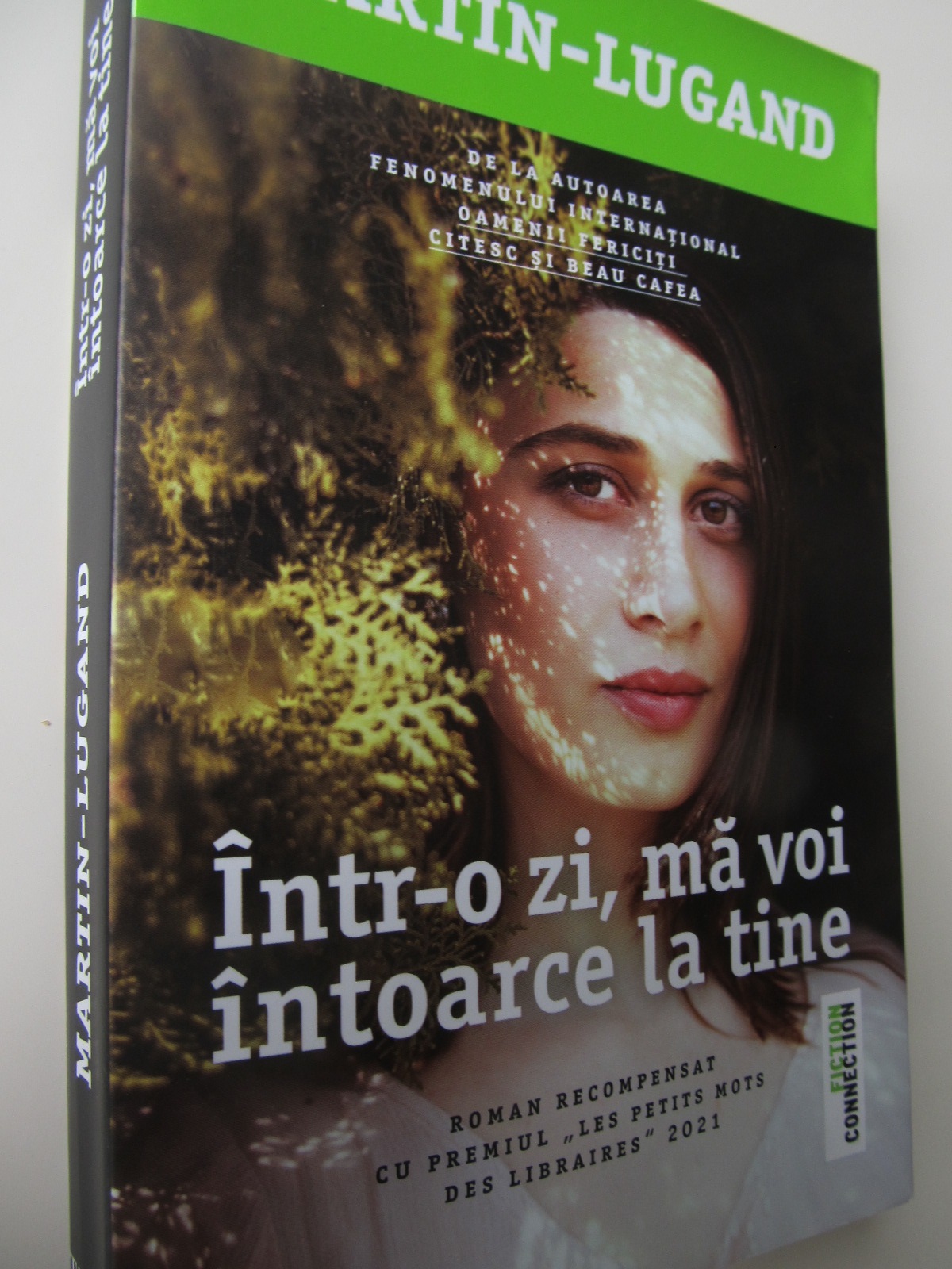 Intr-o zi ma voi intoarce la tine - Agnes Martin Lugand | Detalii carte