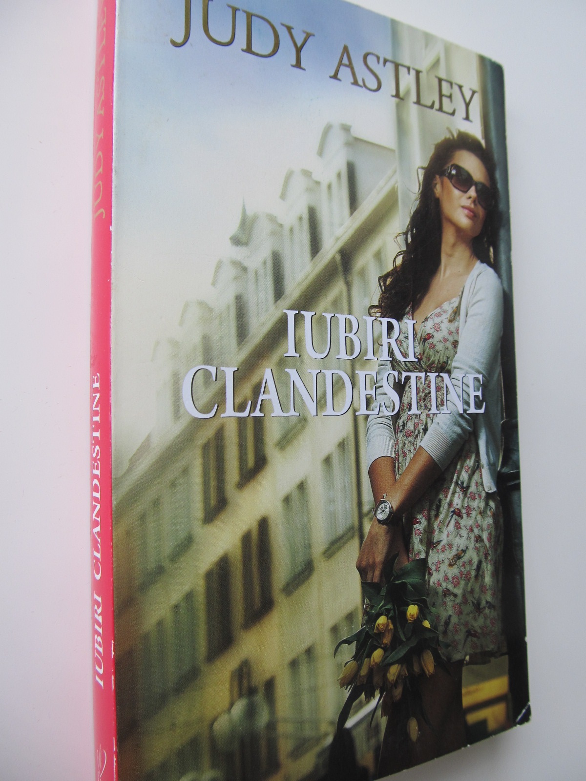 Iubiri clandestine - Judy Astley | Detalii carte