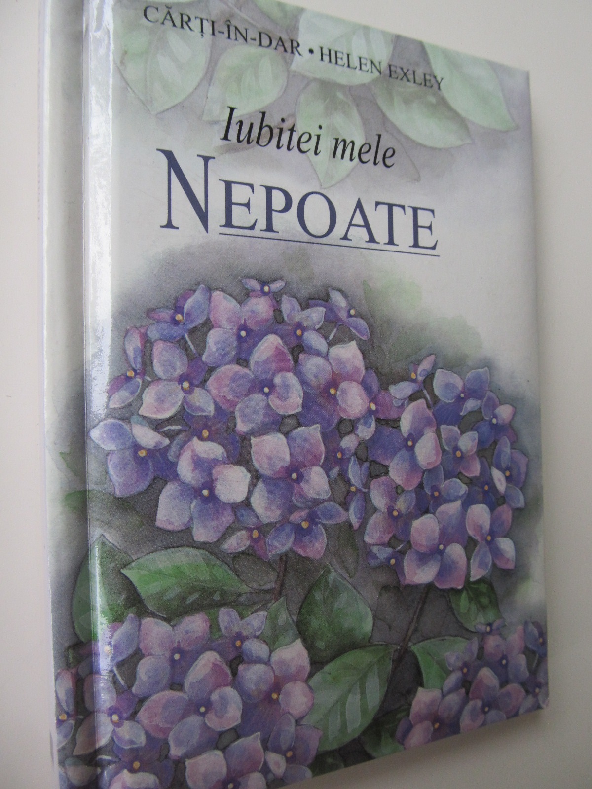 Iubitei mele nepoate - *** | Detalii carte
