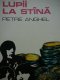 Lupii la stana - Petre Anghel | Detalii carte