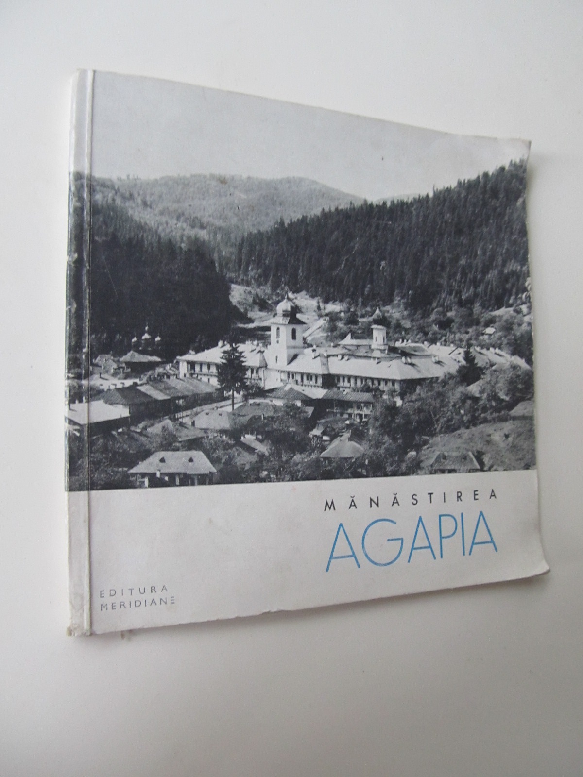 Manastirea Agapia - Petre Lupan | Detalii carte