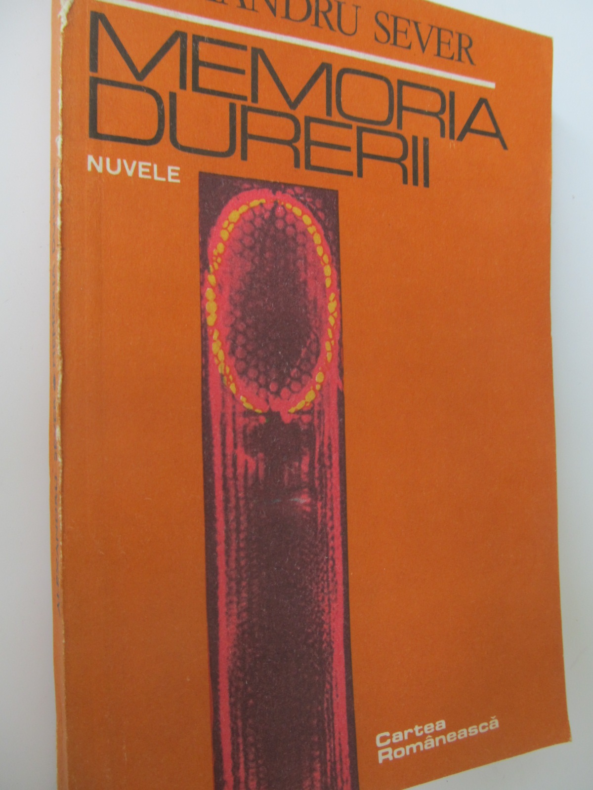 Memoria durerii - Alexandru Sever | Detalii carte