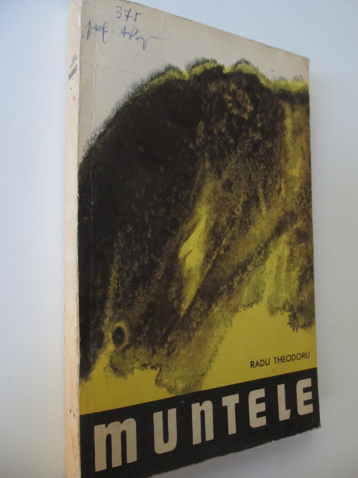 Muntele - Radu Theodoru | Detalii carte
