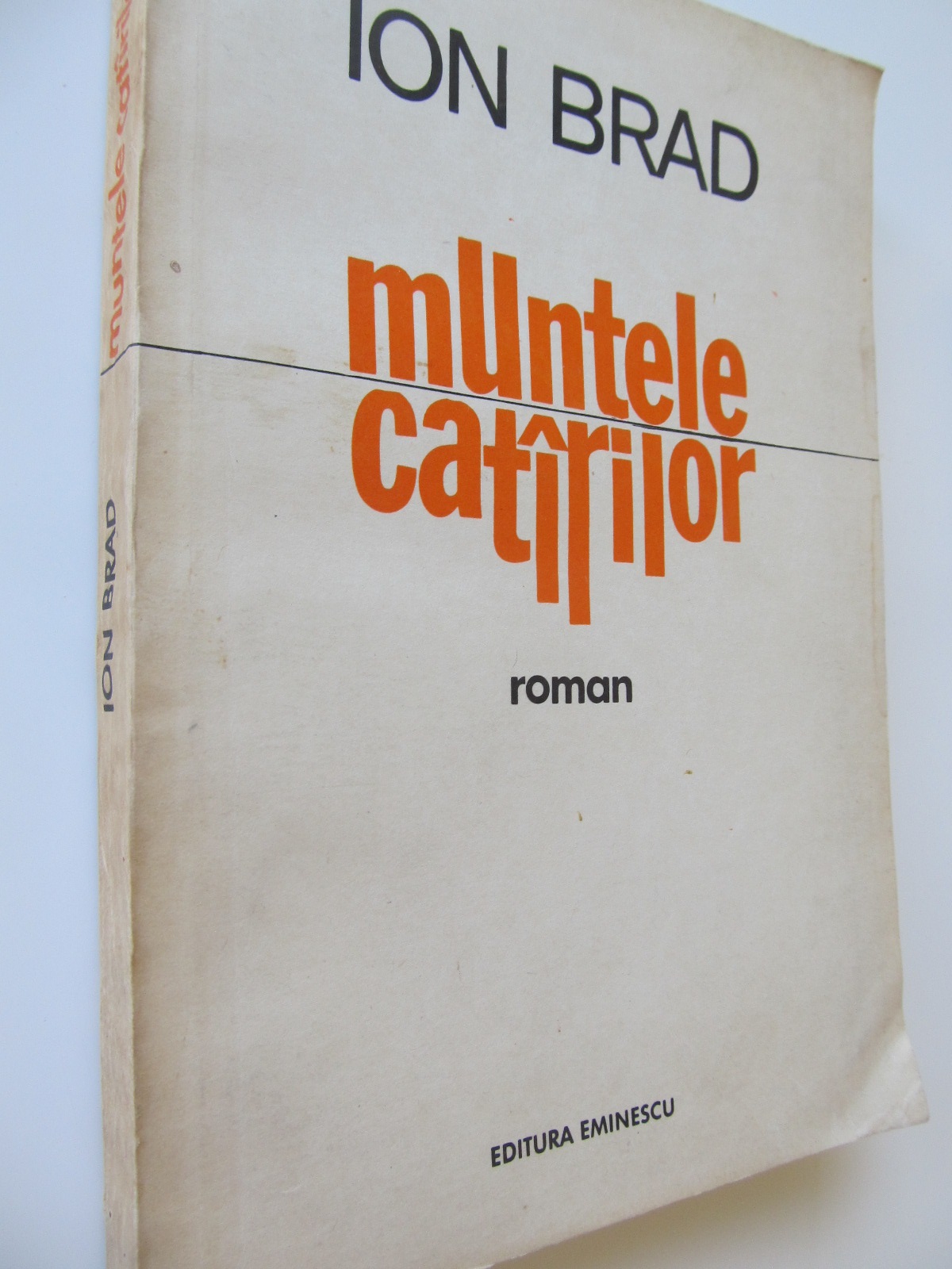 Muntele catarilor - Ion Brad | Detalii carte
