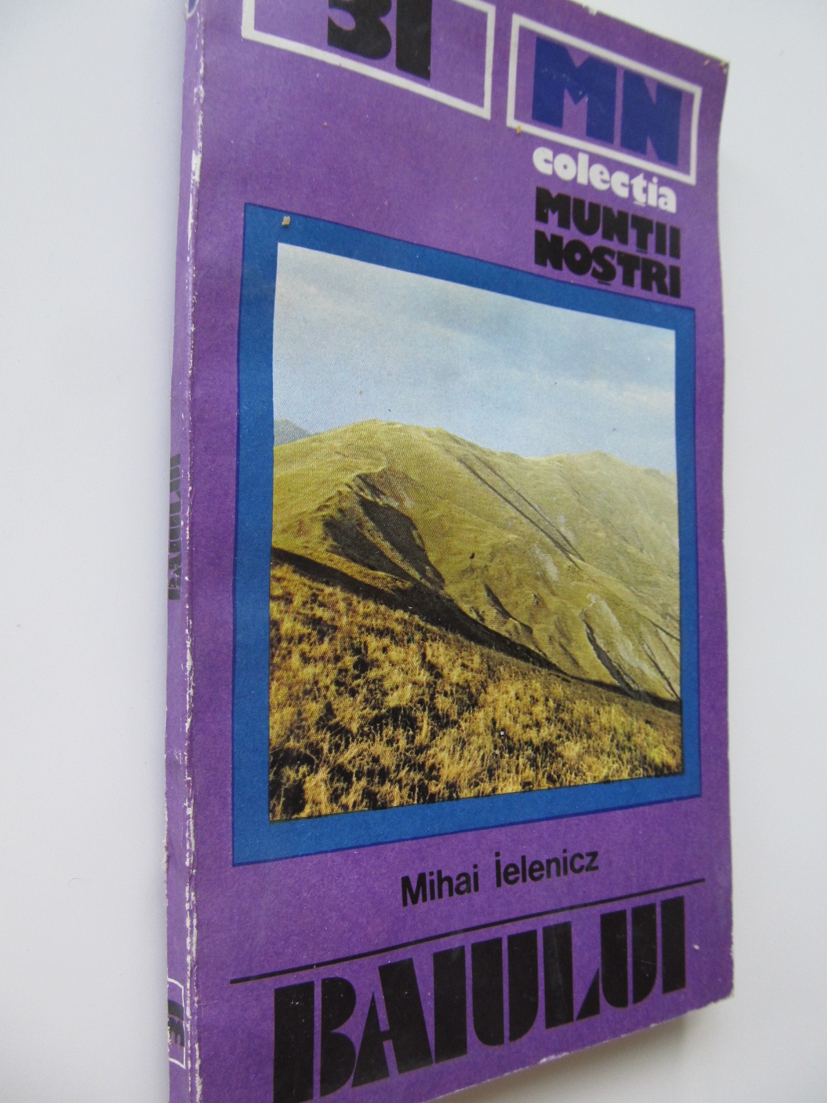 Muntii Baiului (Garbova) (31) - Mihai Ielenicz | Detalii carte