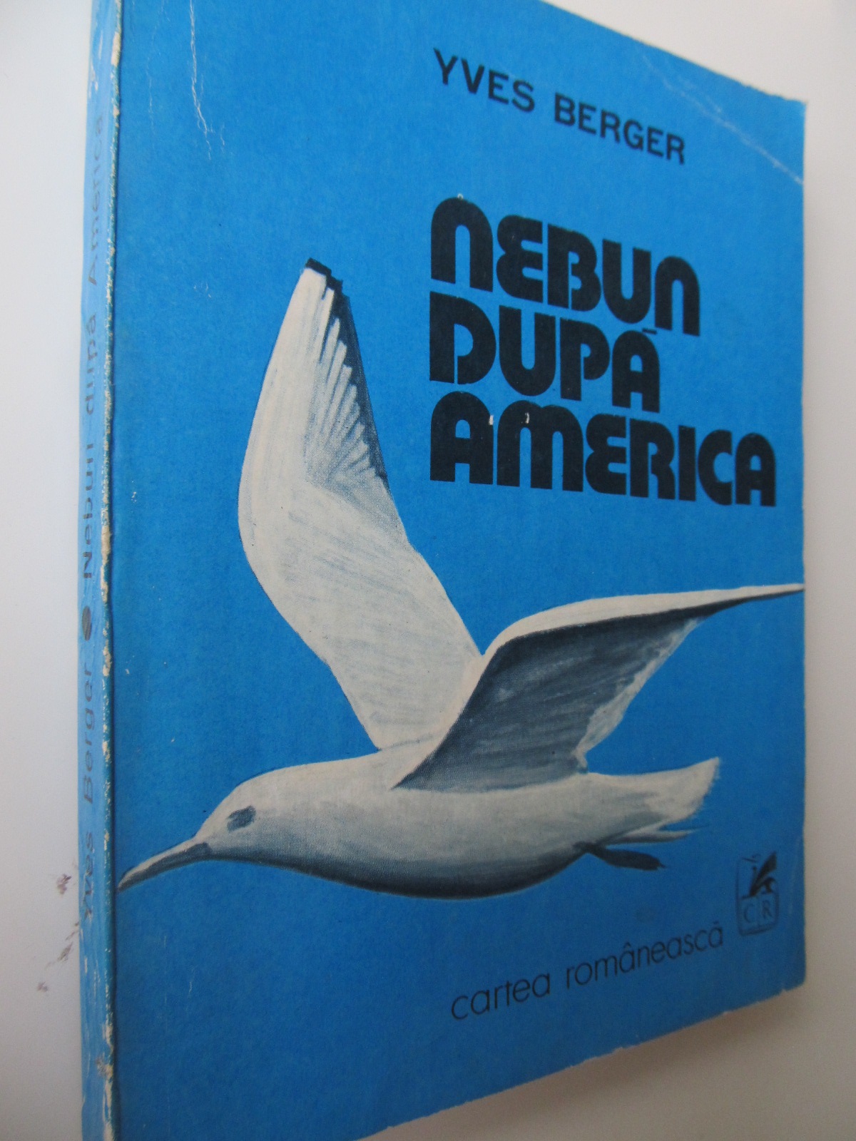 Nebun dupa America - Yves Berger | Detalii carte