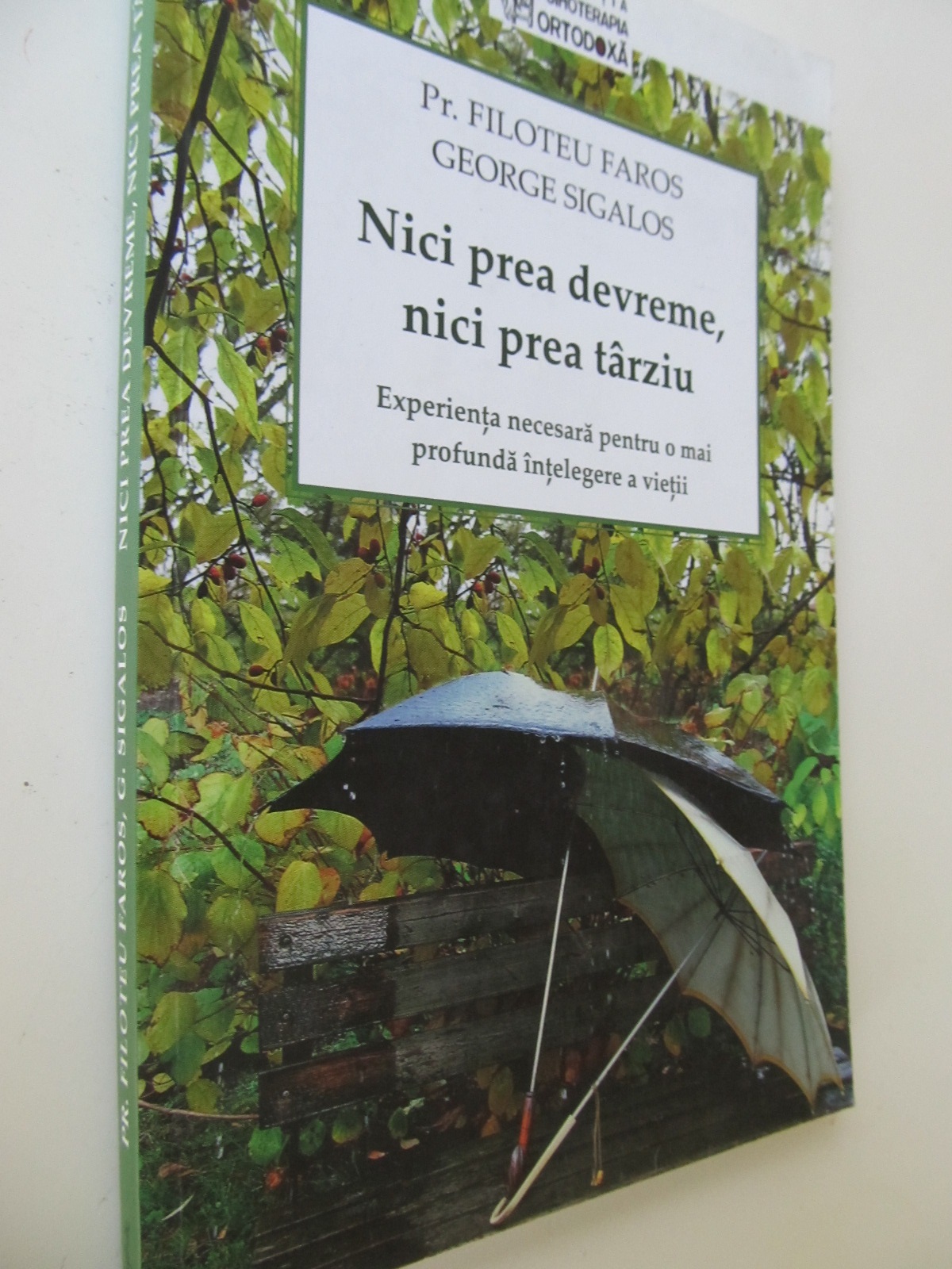 Nici prea devreme nici prea tarziu - Experienta necesara pentru o mai profunda intelegere a vietii - Filoteu Faros , George Sigalos | Detalii carte