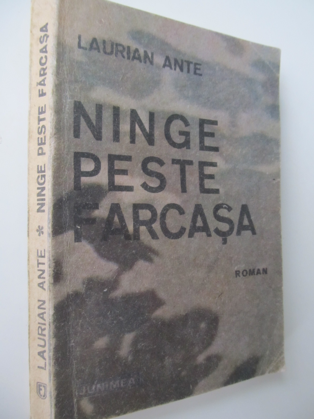 Ninge peste Farcasa - Laurian Ante | Detalii carte