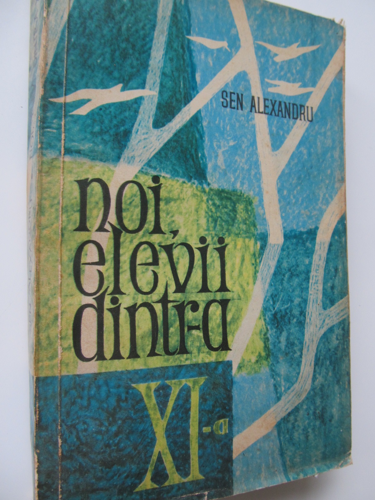 Noi elevii dintr-a XI-a - Sen Alexandru | Detalii carte