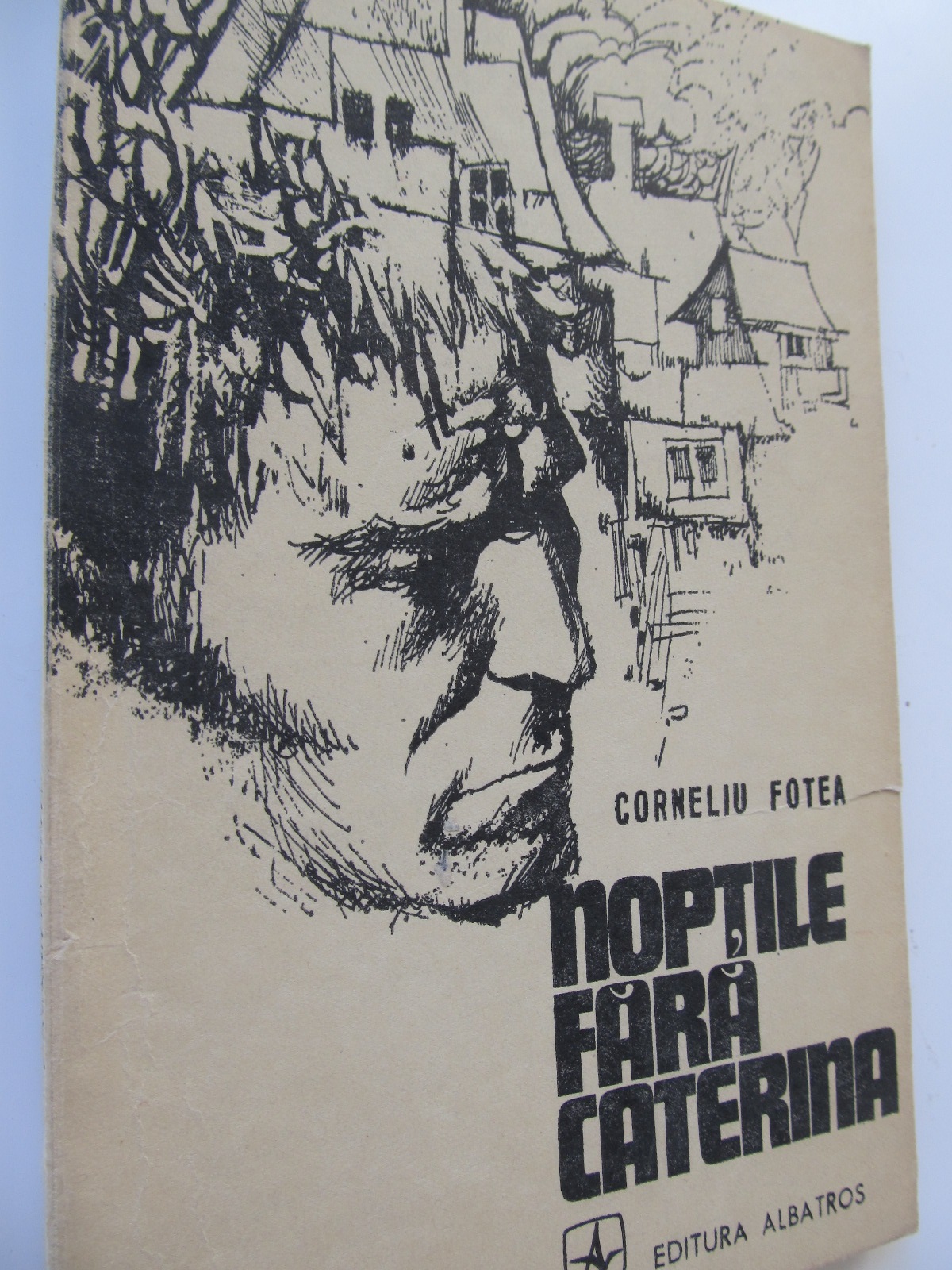 Noptile fara Caterina - Corneliu Fotea | Detalii carte