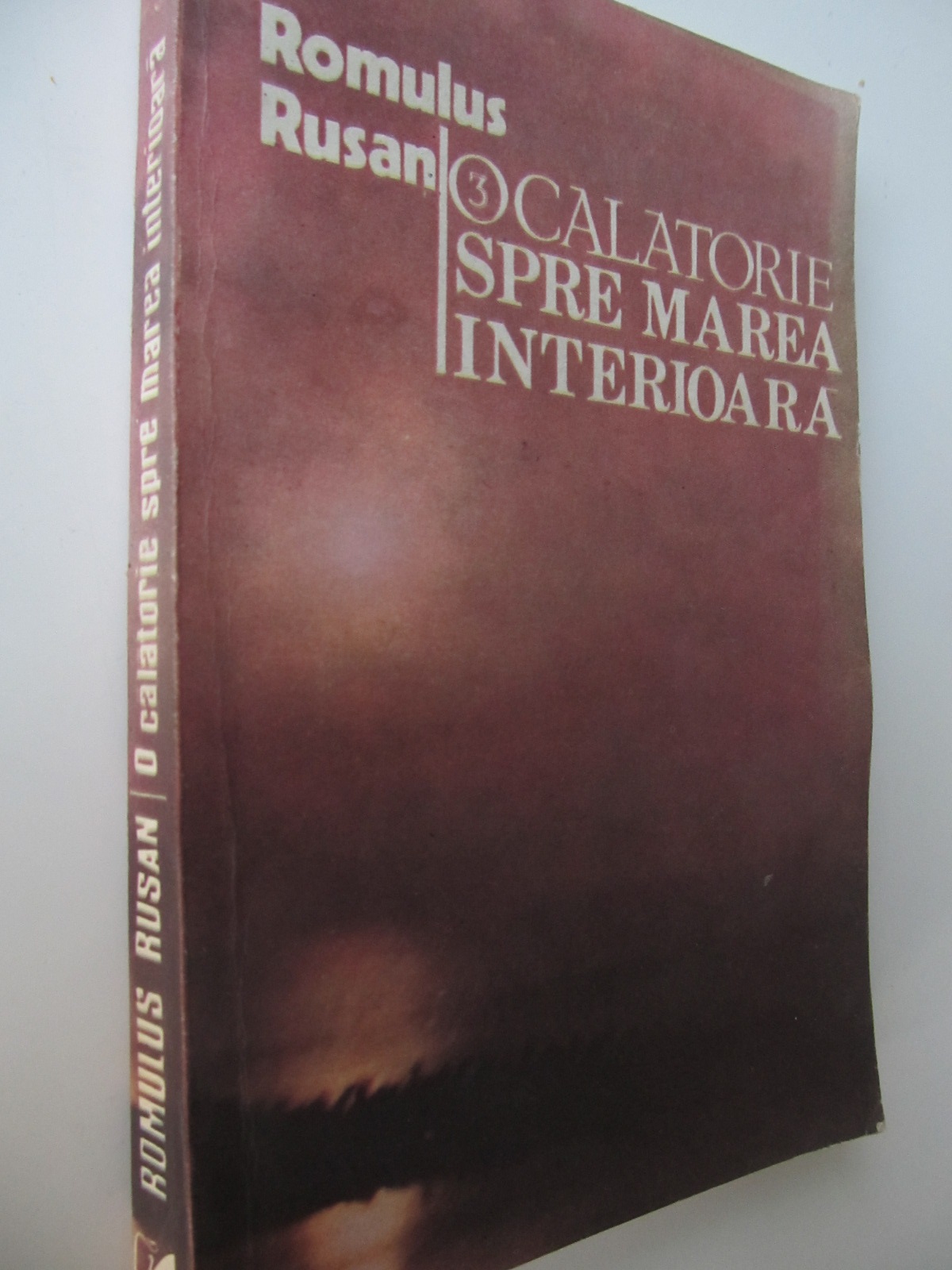 O calatorie spre marea interioara (vol. 3) - Romulus Rusan | Detalii carte
