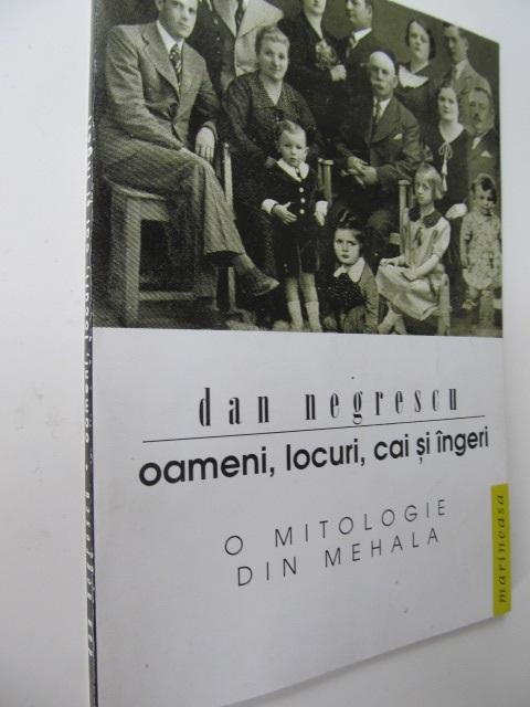 Oameni locuri cai si ingeri - O mitologie din Mehala - Dan Negrescu | Detalii carte