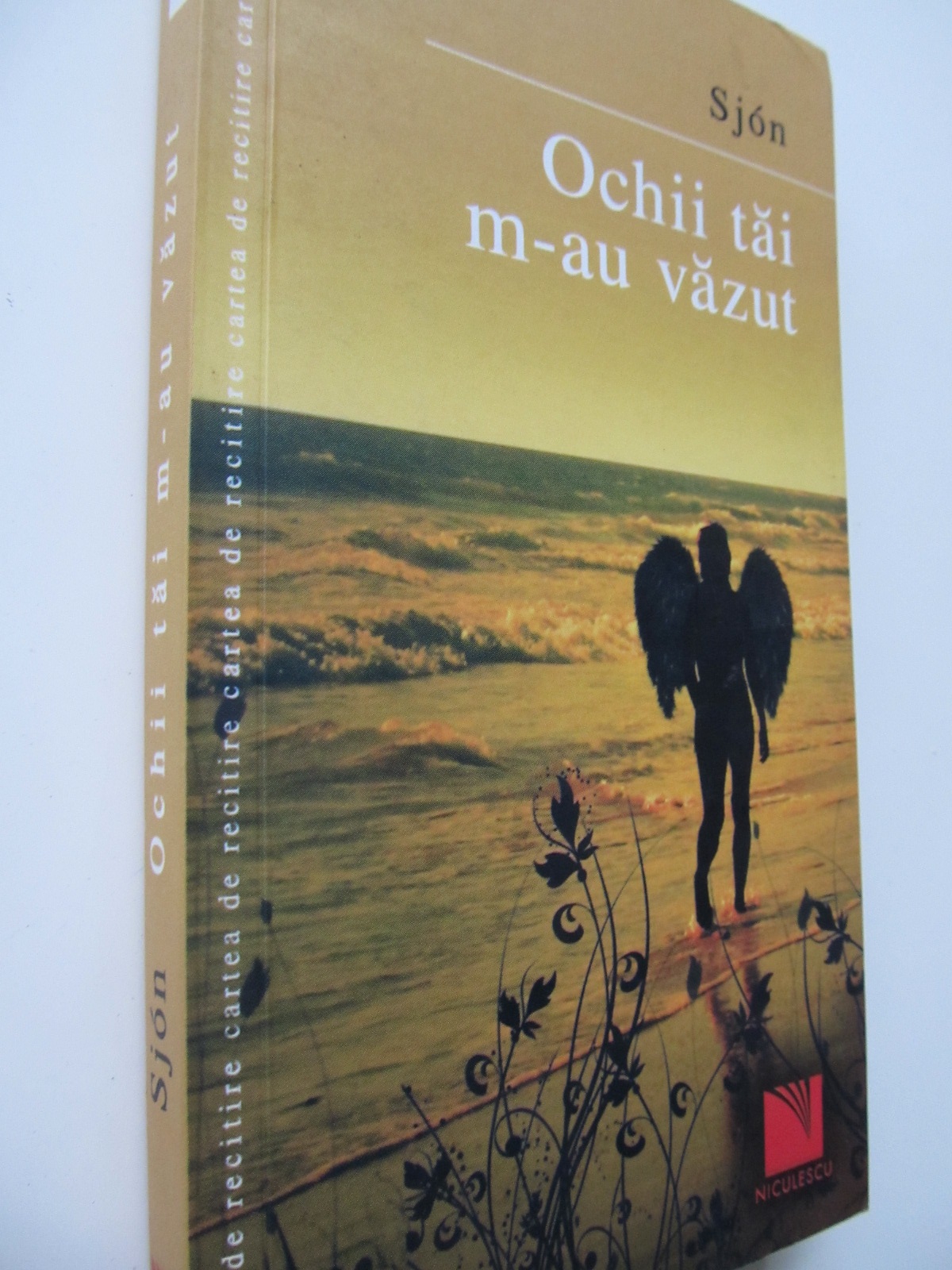Ochii tai m-au vazut - Sjon | Detalii carte