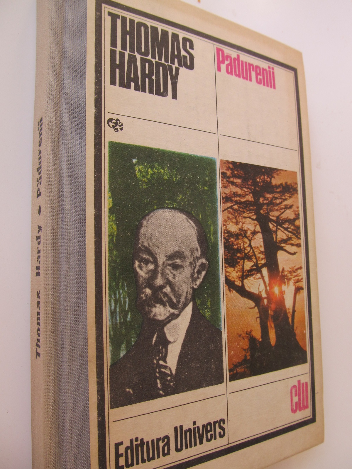 Padurenii - Thomas Hardy | Detalii carte