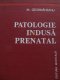 Patologie indusa prenatal - M. Geormaneanu | Detalii carte