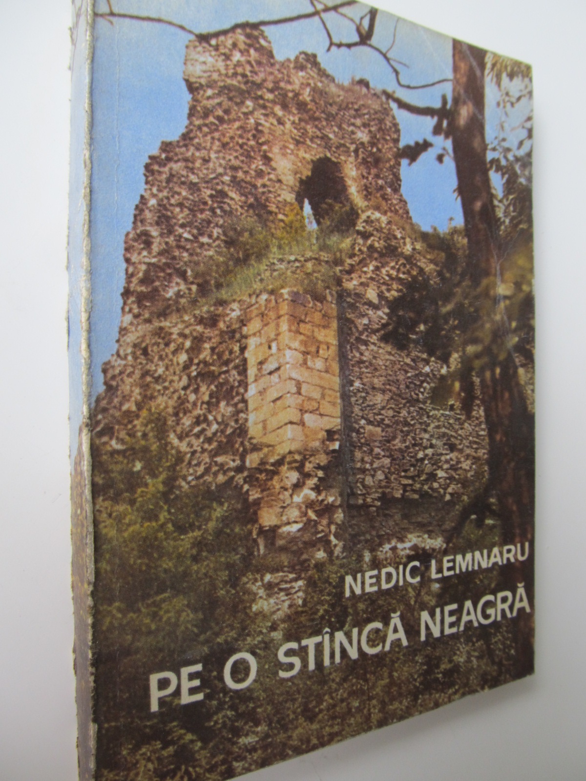 Pe o stanca neagra - Nedic Lemnaru | Detalii carte