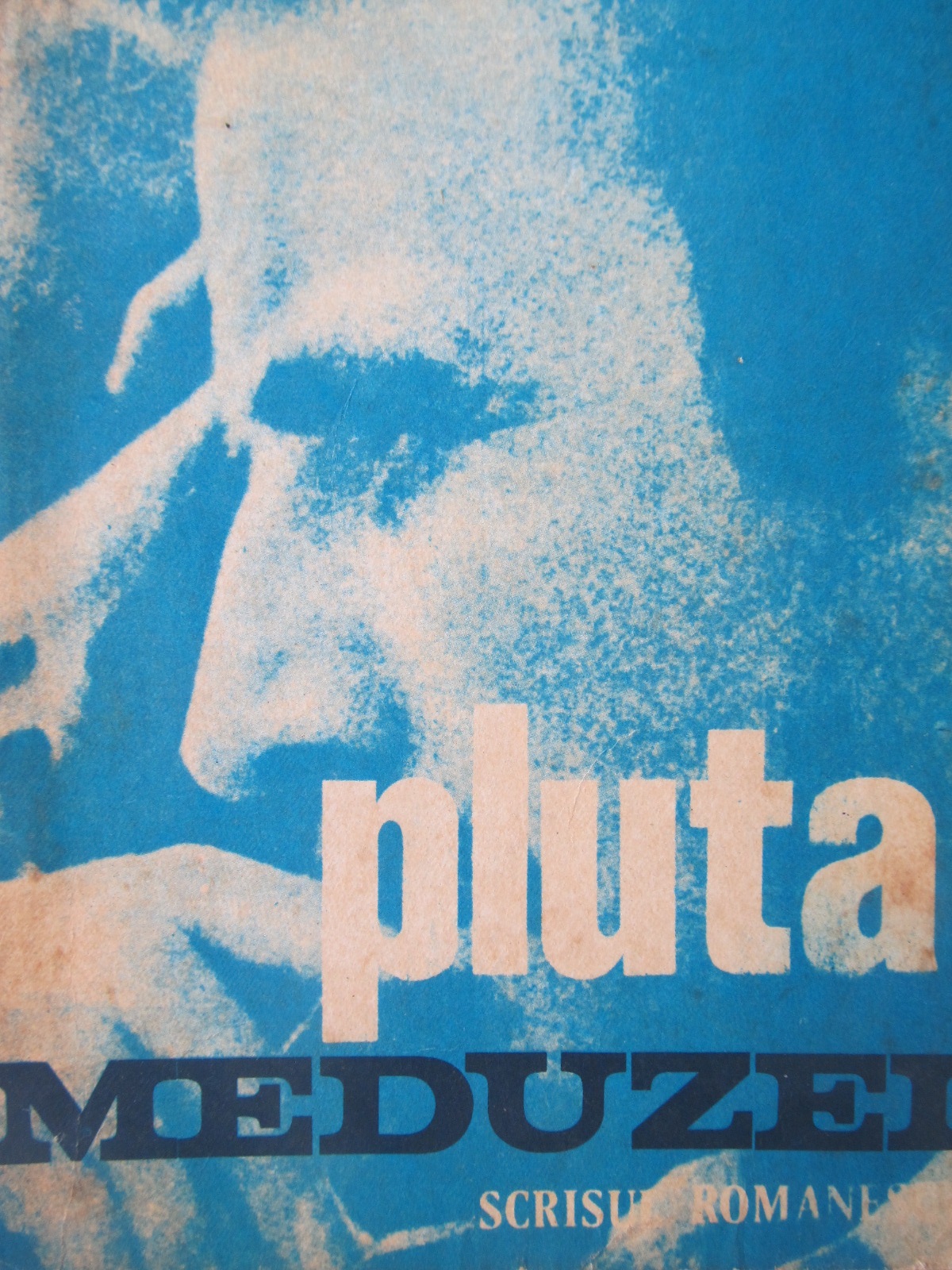 Pluta meduzei - Vasile Barsan | Detalii carte